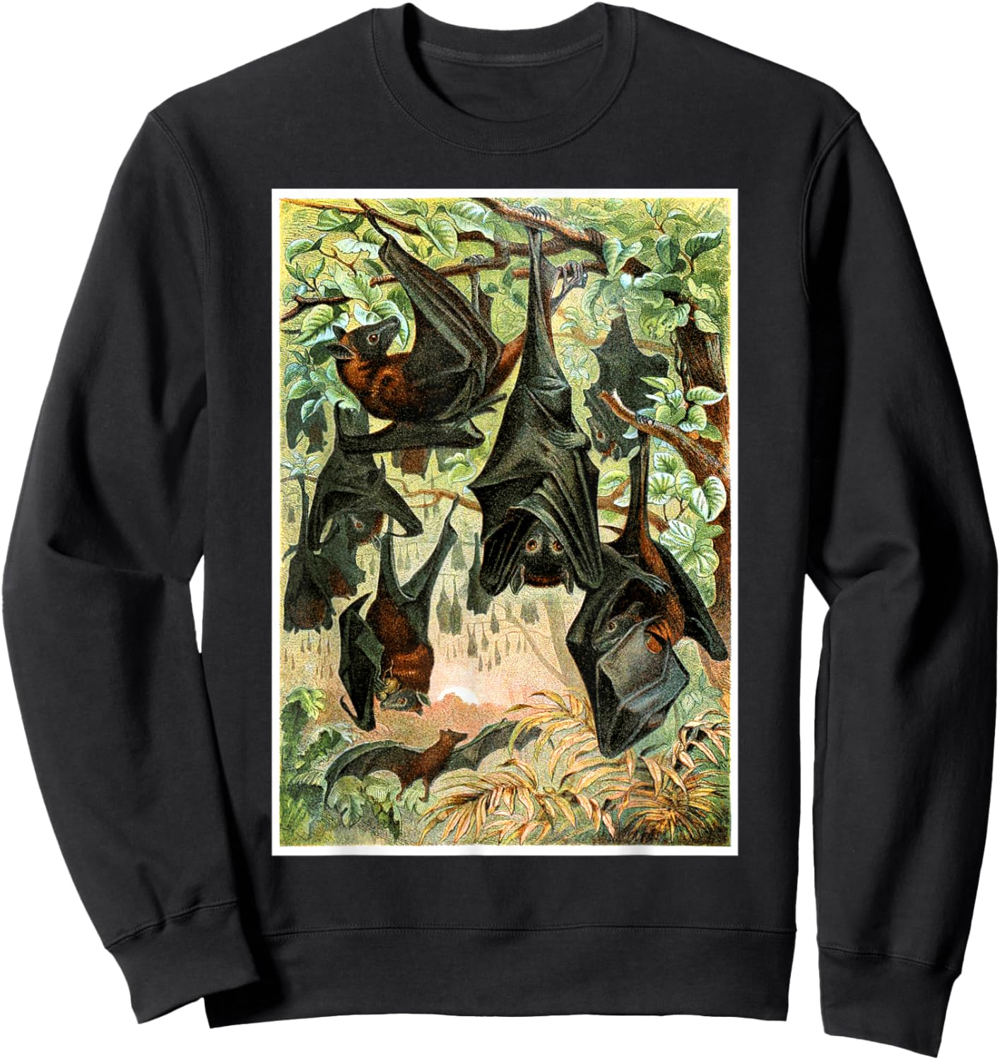 Flying Foxes Bats Hanging Bat Vintage Animal Illustration Sweatshirt - Sweatshirt | Black