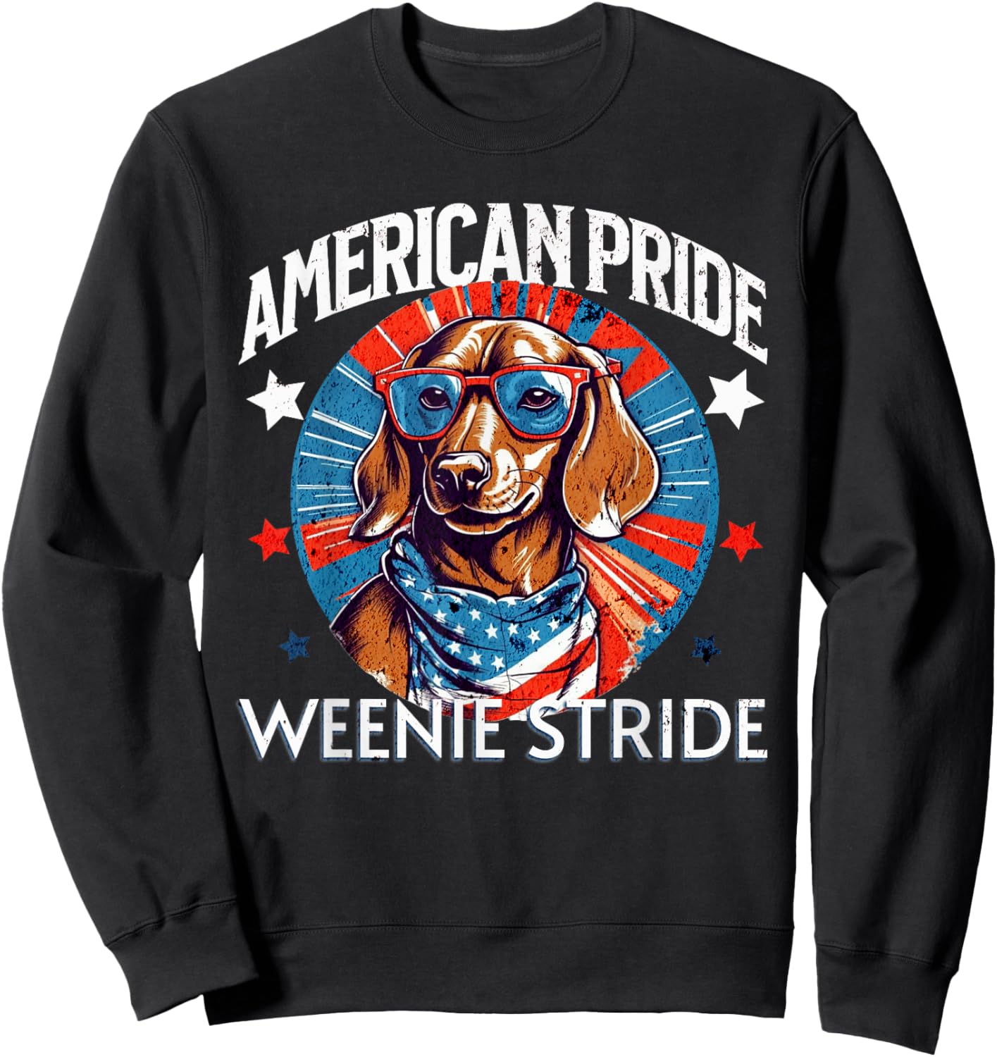 4th of July Funny Dachsund Weiner Dog Weenie USA America Sweatshirt - Sweatshirt | Black