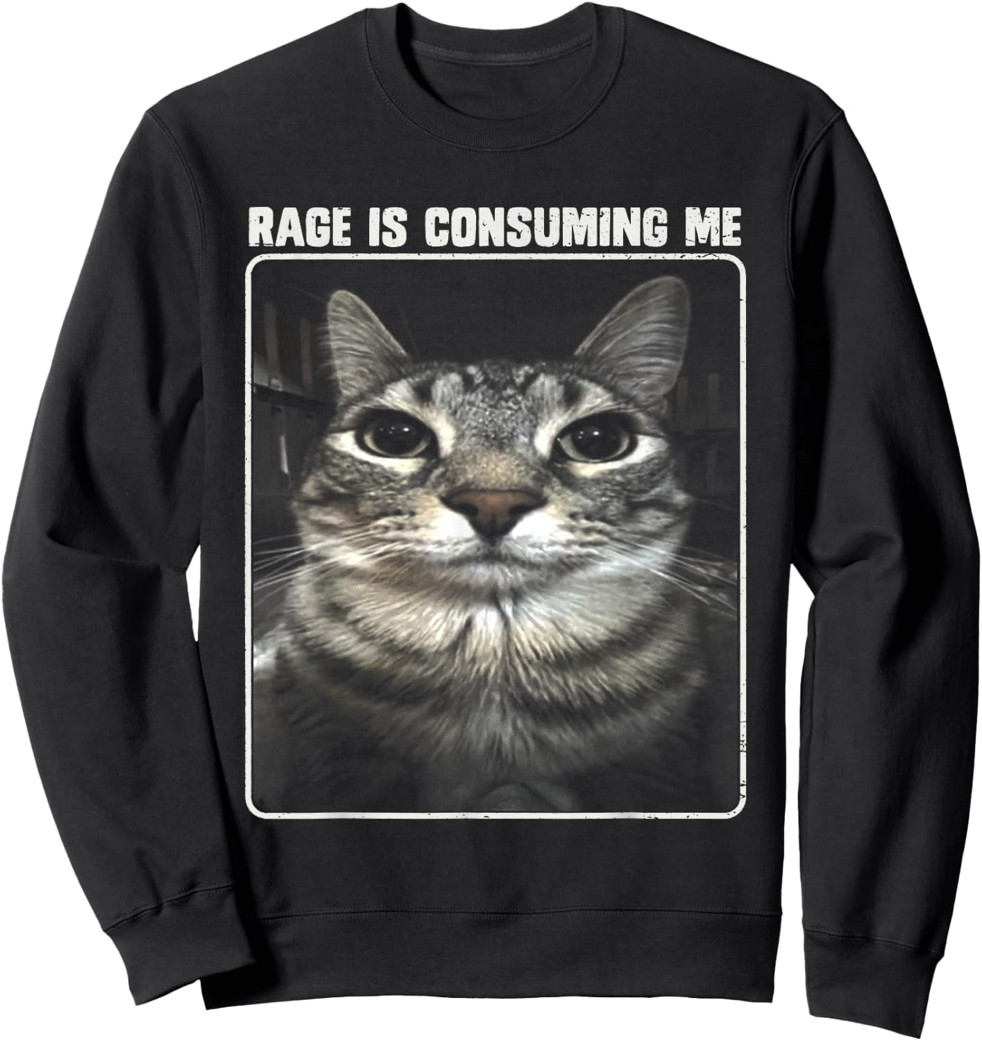 Rage Is Consuming Me Meme Silly Cat Women Girls Kids Sweatshirt - Sweatshirt | Black