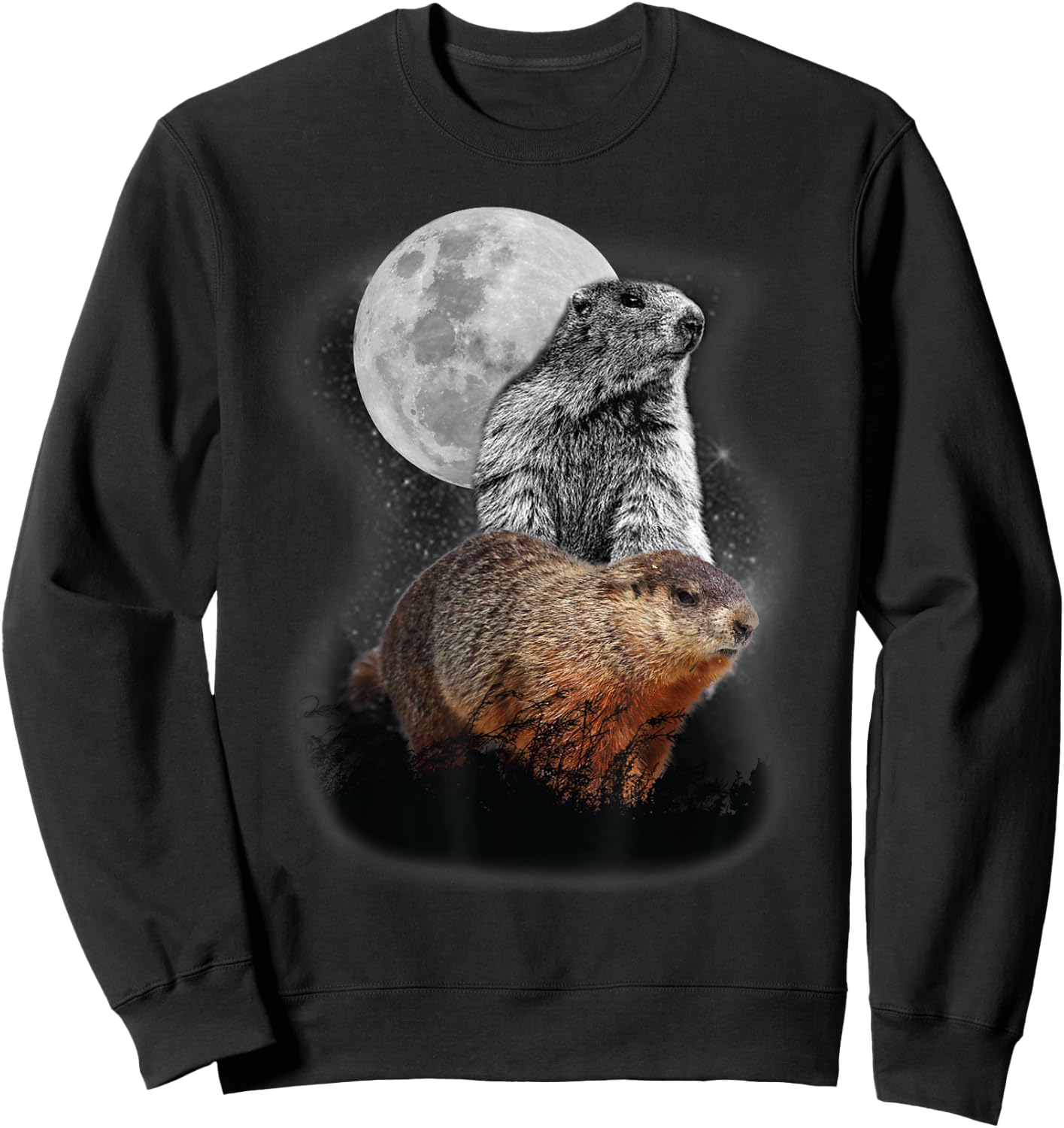 Groundhog Illustration Moon Groundhog Day Groundhog Lovers Sweatshirt - Sweatshirt | Black