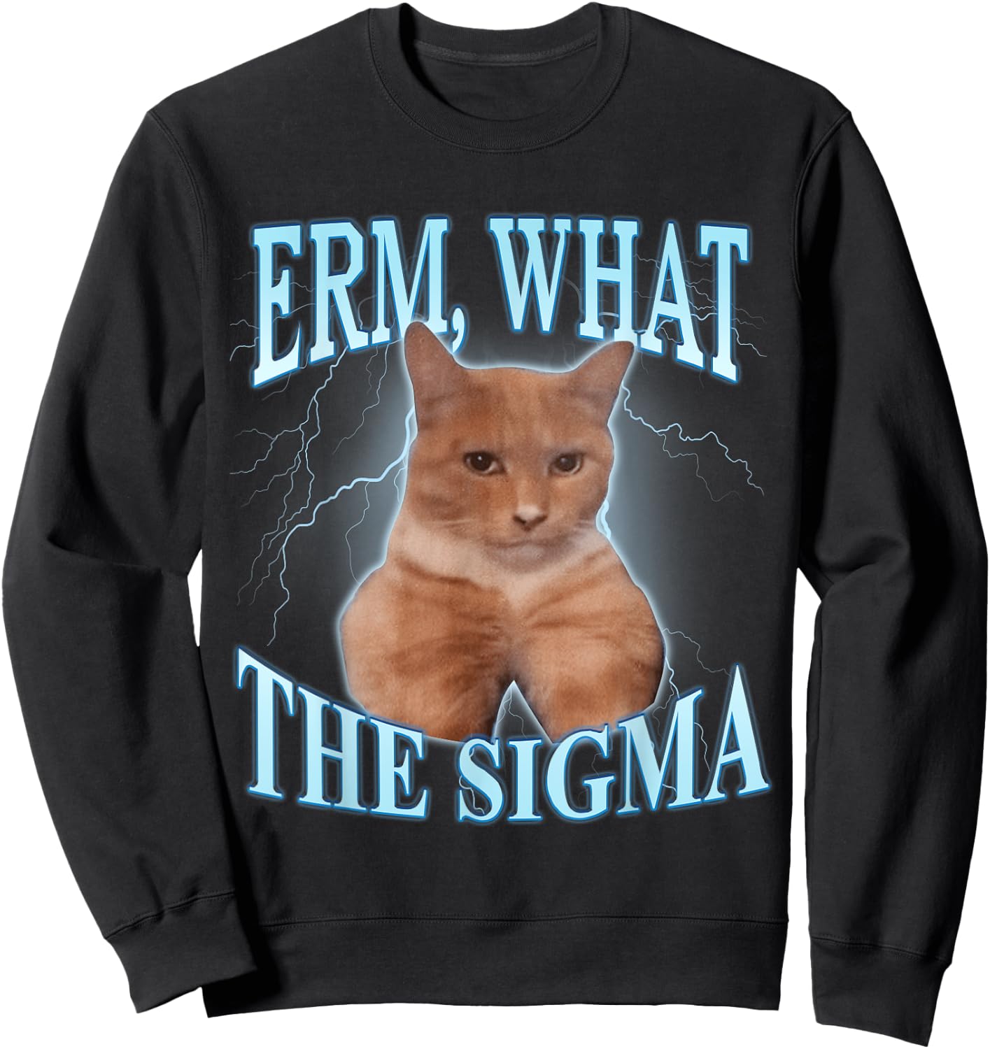 What the Sigma Cat Men Women Kids Sweatshirt - Sweatshirt | Black