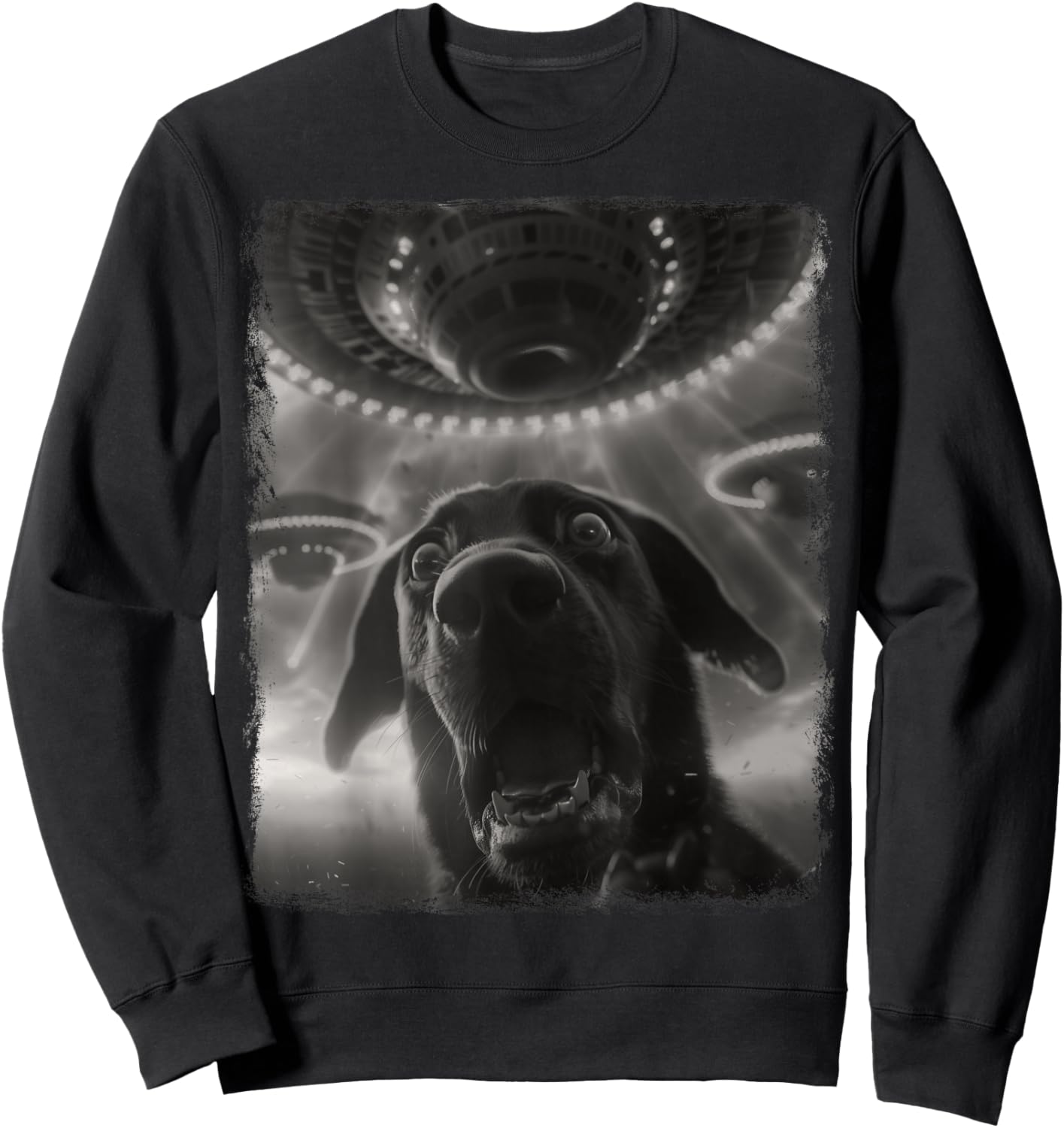 Labrador Dog UFO Alien Extraterrestrial Selfie Sweatshirt - Sweatshirt | Black