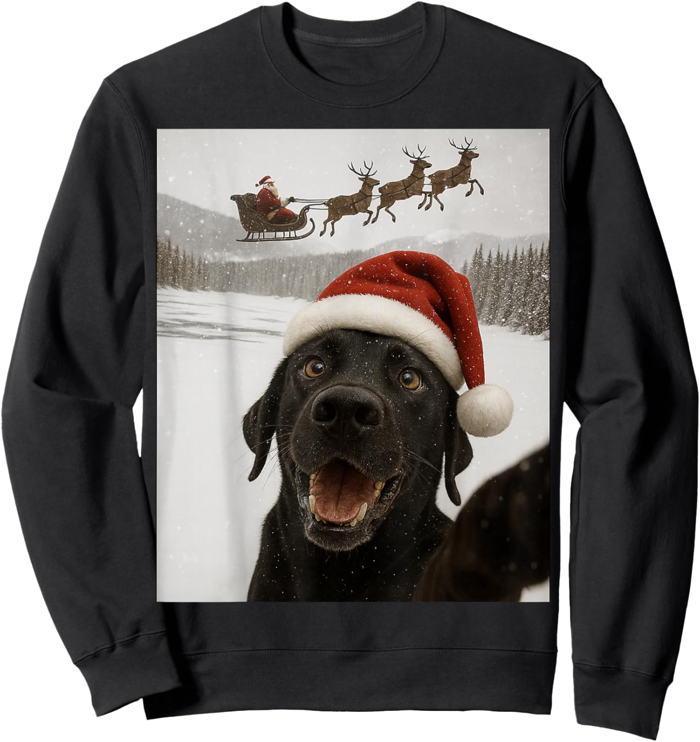 Dog Selfie with Santa Funny Christmas Dog Lovers Sweatshirt - Sweatshirt | Black