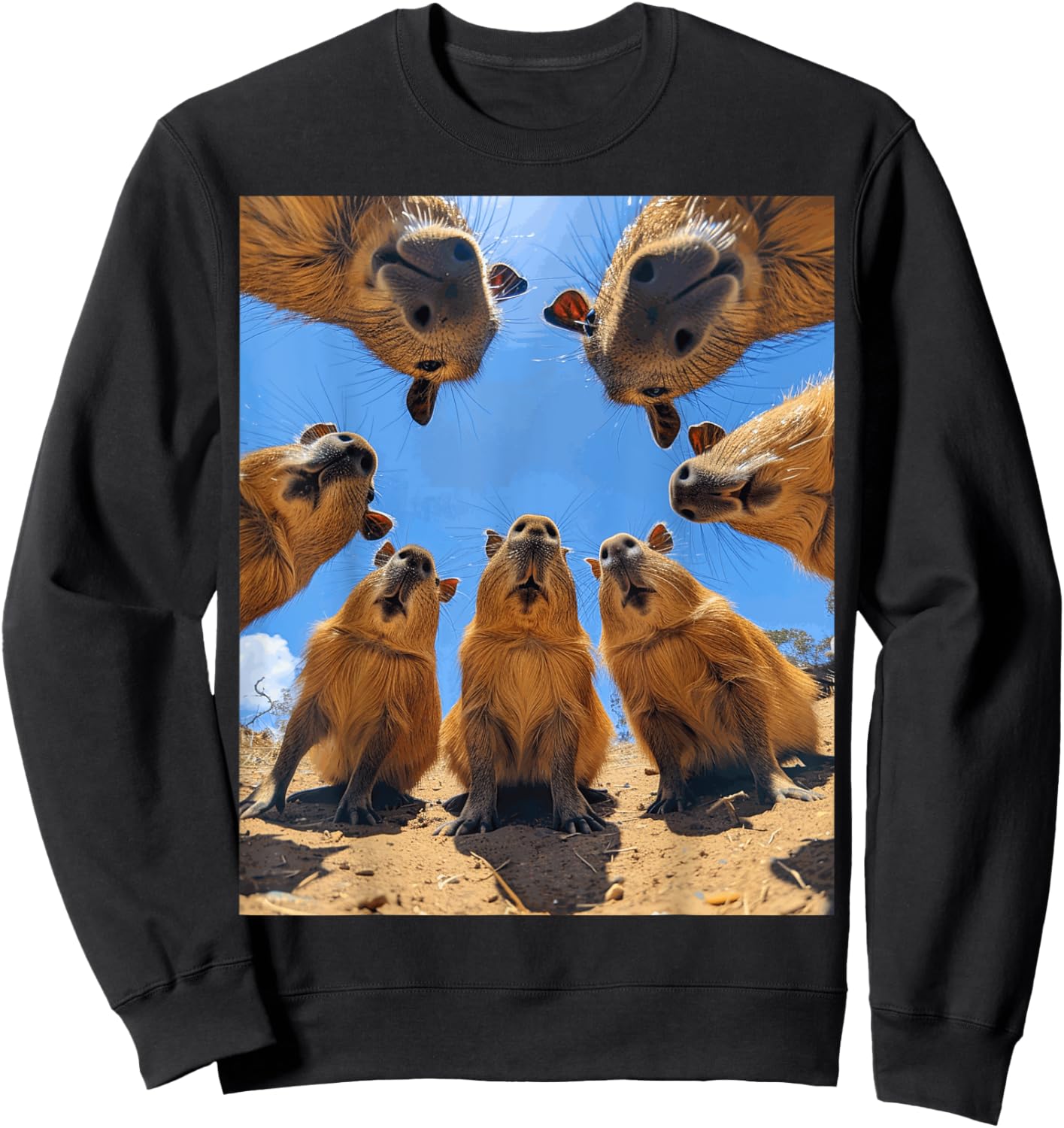Funny Graphic Capybara Sweatshirt - Sweatshirt | Black