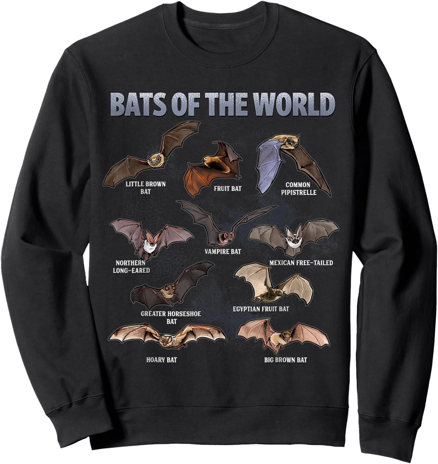 Bats of the World Educational Bat Species Chart Sweatshirt - Sweatshirt | Black