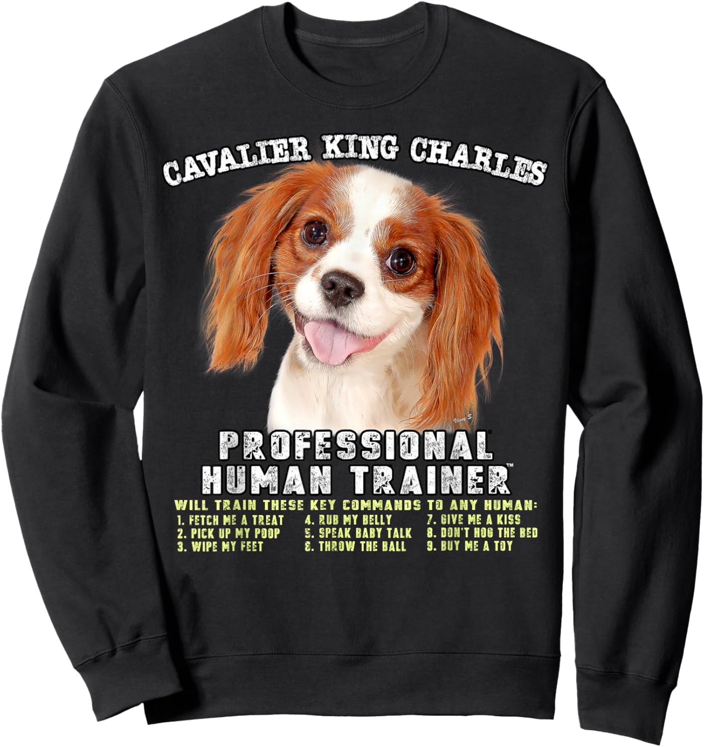 Cavalier King Charles Spaniel Professional Human Trainer Sweatshirt - Sweatshirt | Black