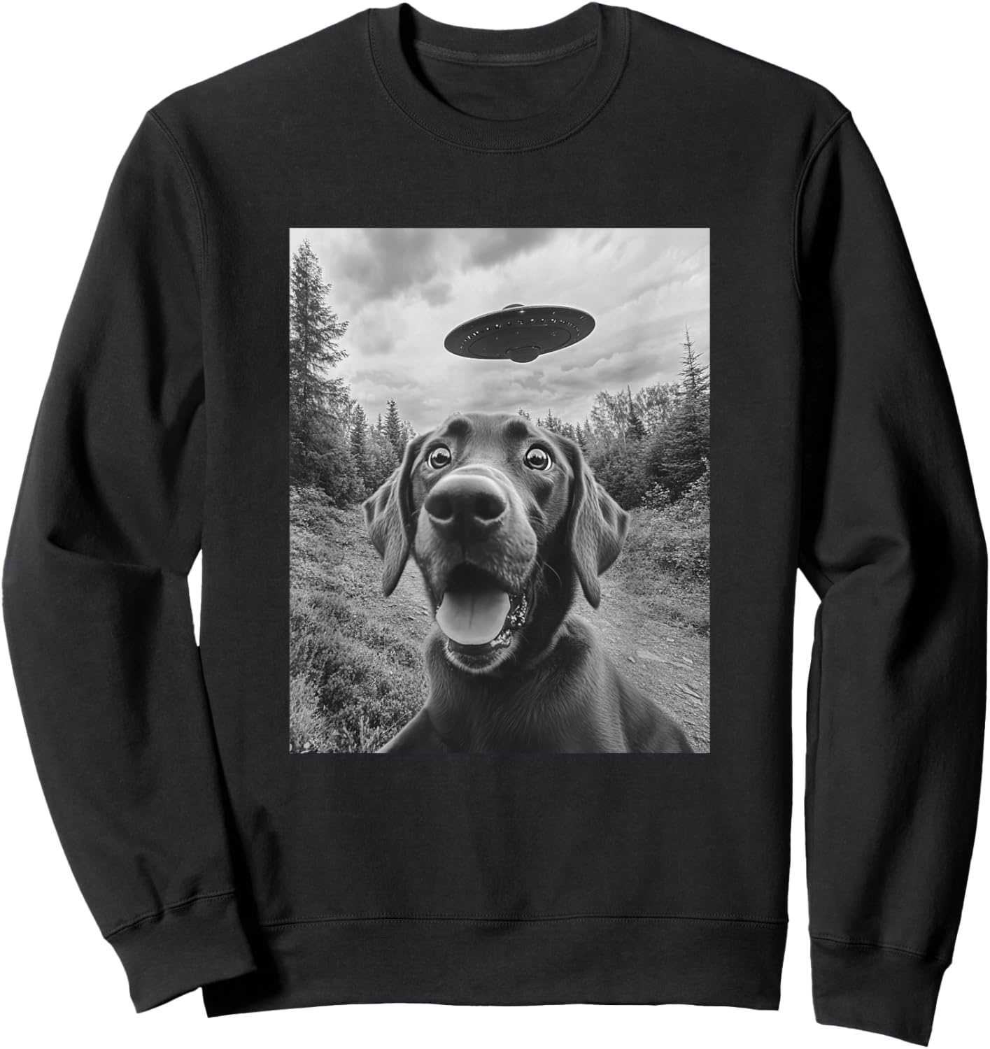 Labrador UFO Meme - Funny Labrador Selfie with UFO Sweatshirt - Sweatshirt | Black
