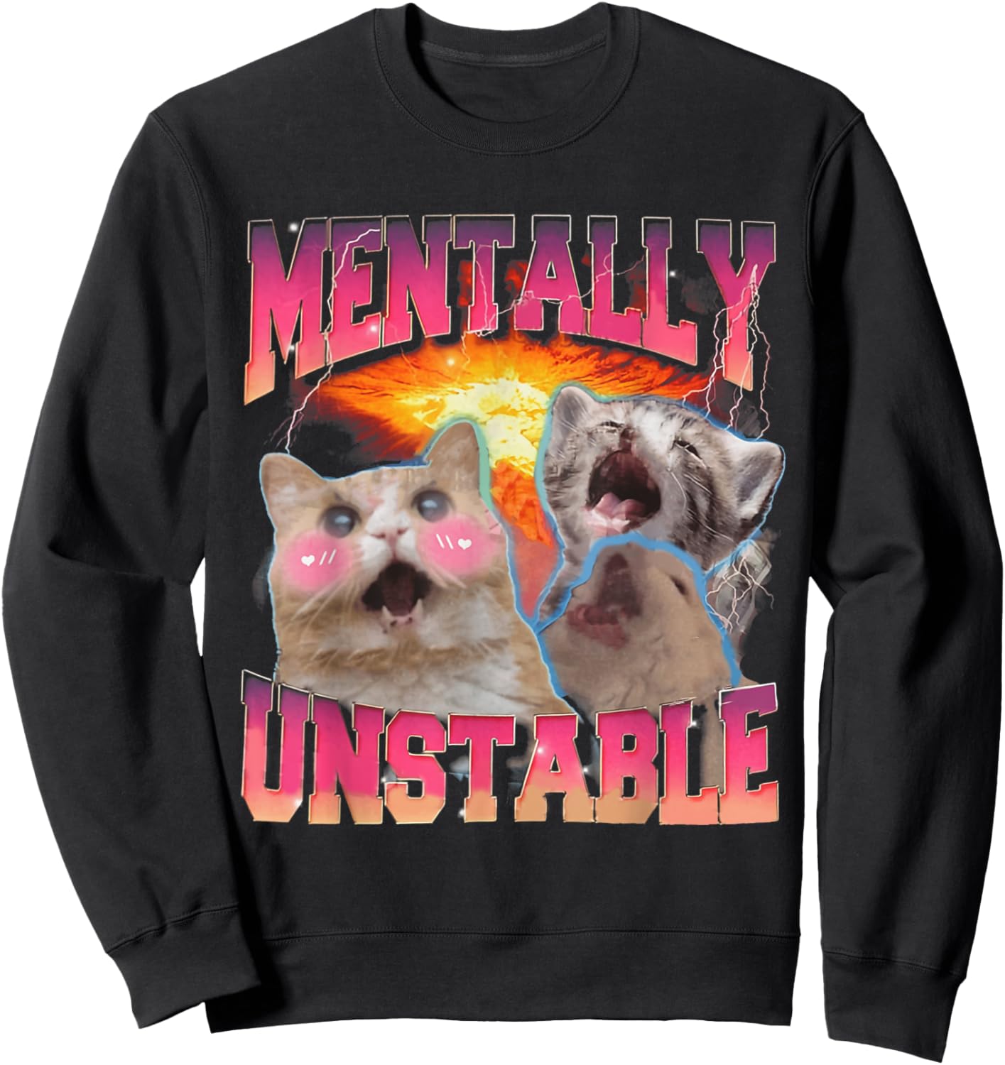 Mentally Unstable Cat Meme Shirt, Funny Cat Meme Sweatshirt - Sweatshirt | Black