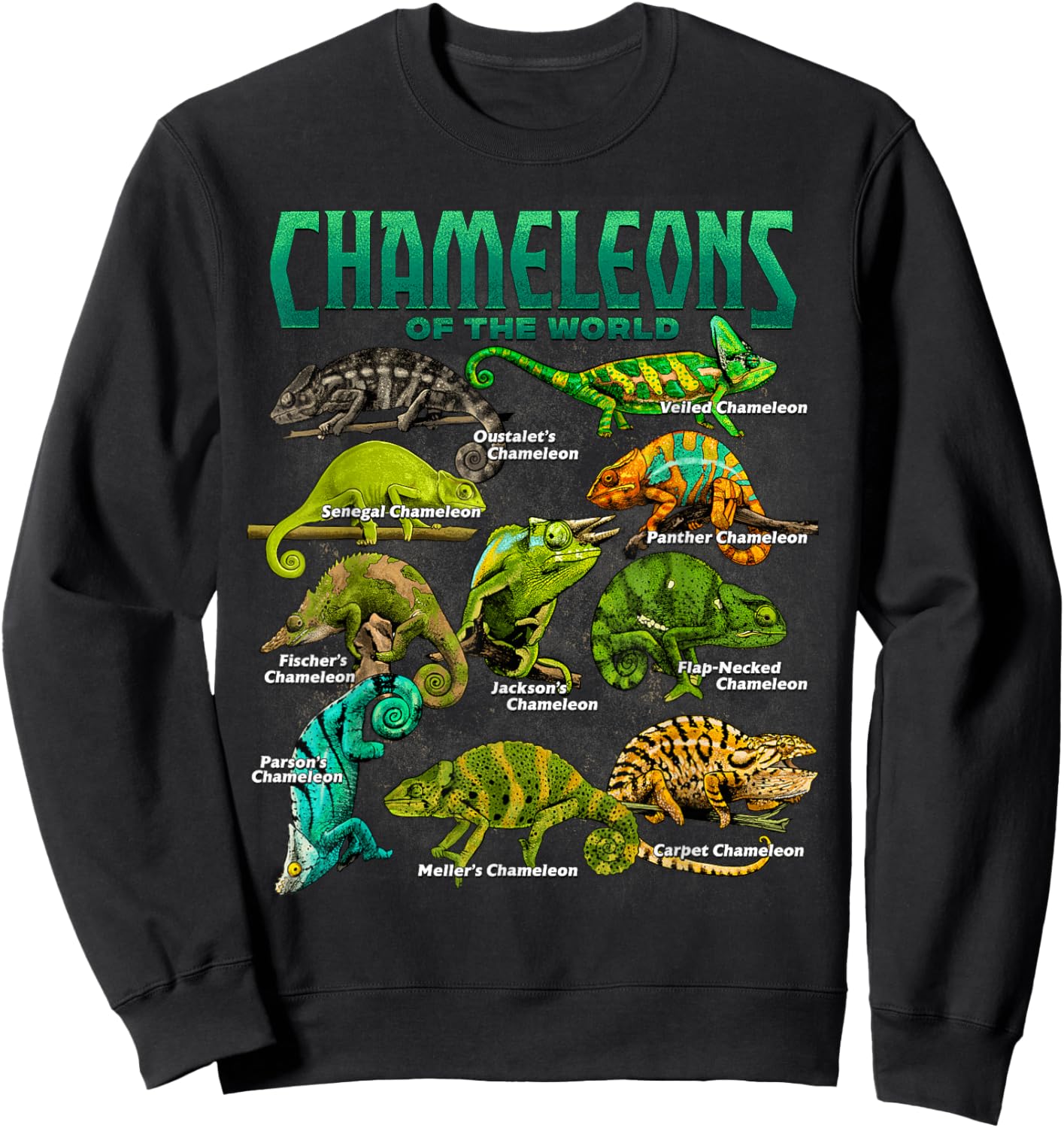 Chameleons of The World Educational Reptile Lizard Lover Sweatshirt - Sweatshirt | Black