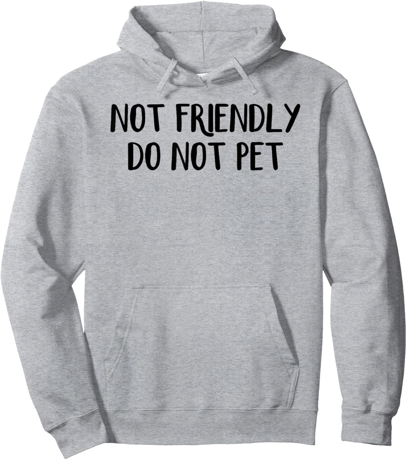 Not Friendly Do Not Pet Hoodie - Hoodie | Ash