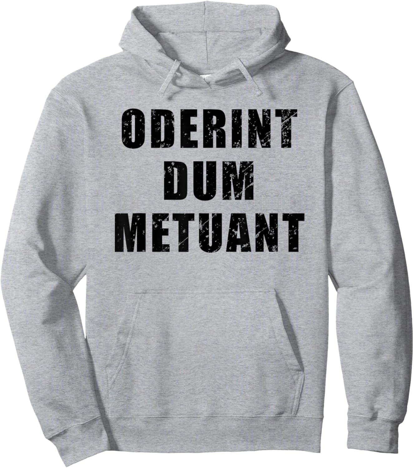 Oderint Dum Metuant - Let them hate, so long as they fear Hoodie - Hoodie | Ash