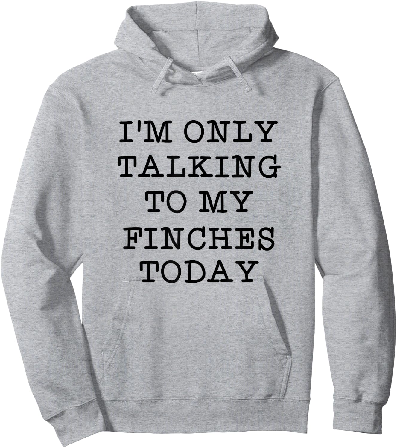 I'm Only Talking To My Finches Today Bird Lover Humor Quote Hoodie - Hoodie | Ash