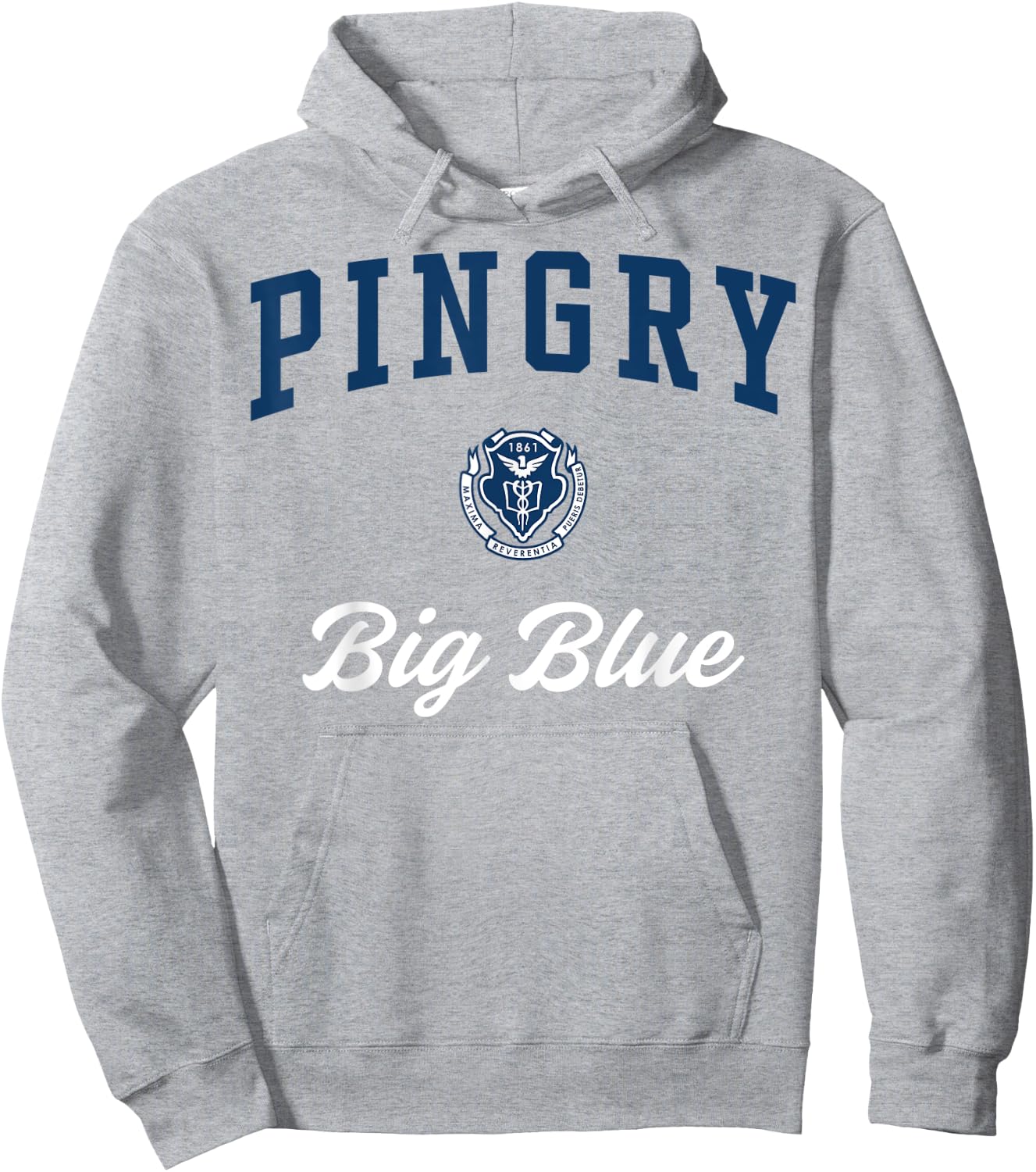 Pingry High School Big Blue Hoodie - Hoodie | Ash