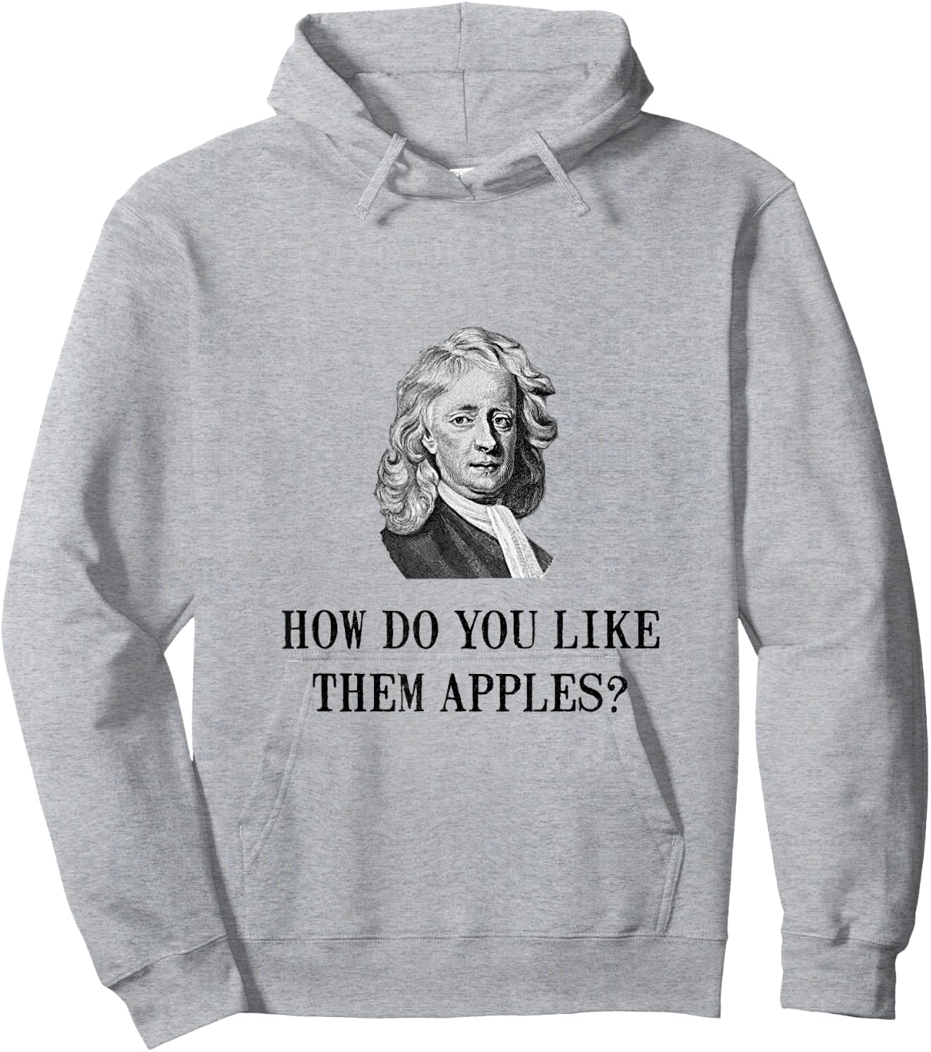 Sir Isaac Newton Apple Funny Nerd Hoodie - Hoodie | Ash