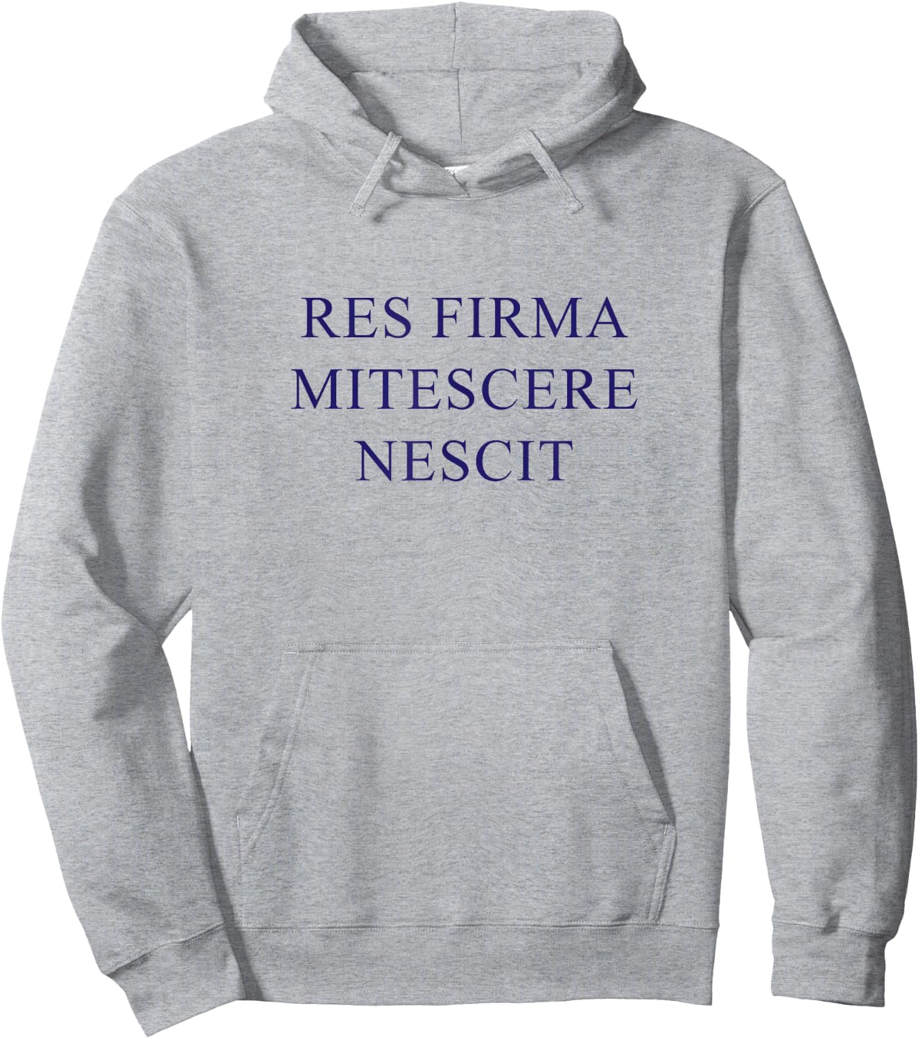 American Flyers "Res Firma Mitescere Nescit" Hoodie - Hoodie | Ash