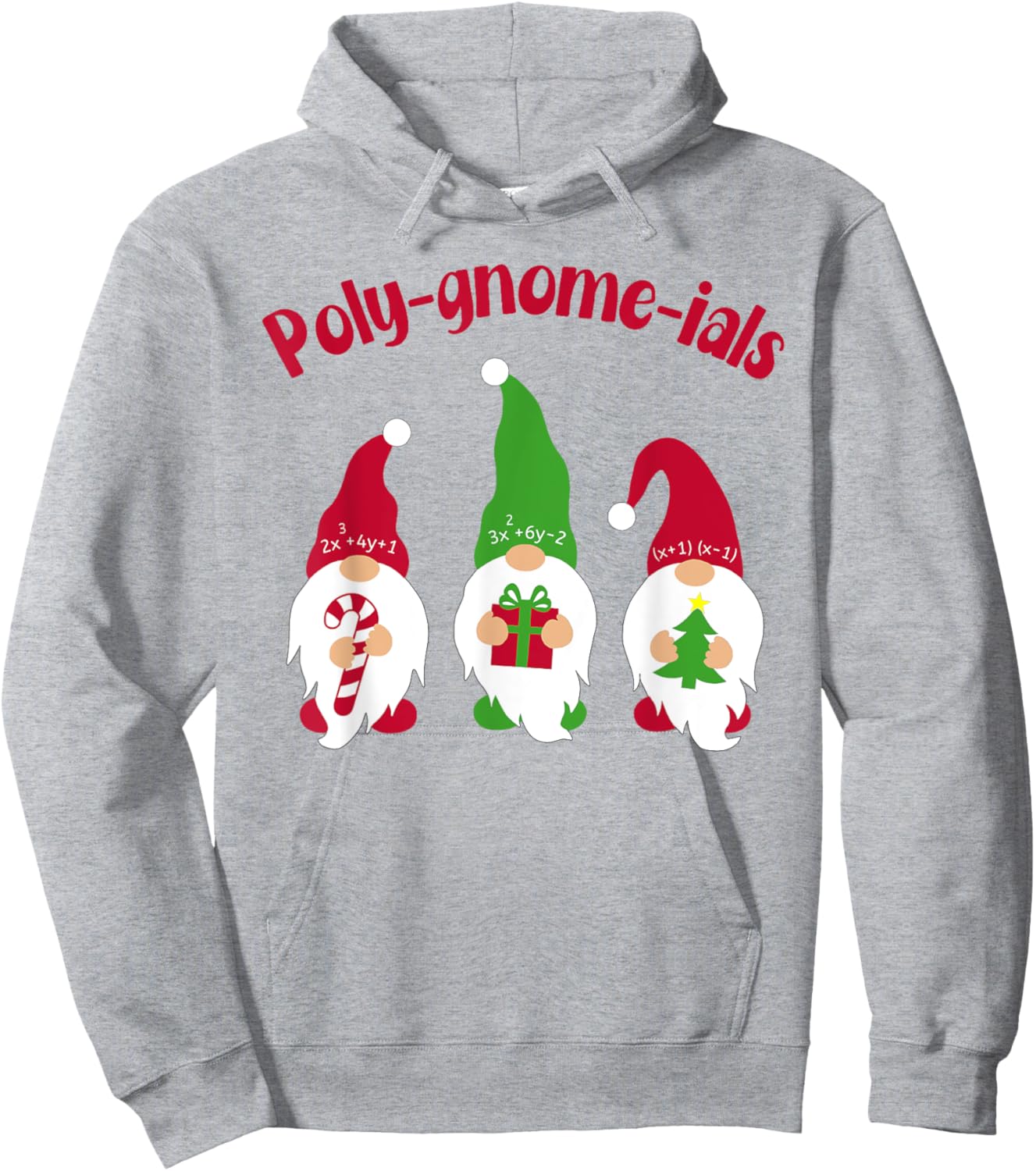 Funny Math Teacher Poly Gnome Ials Gnomes Math Pun Algebra T Hoodie - Hoodie | Ash