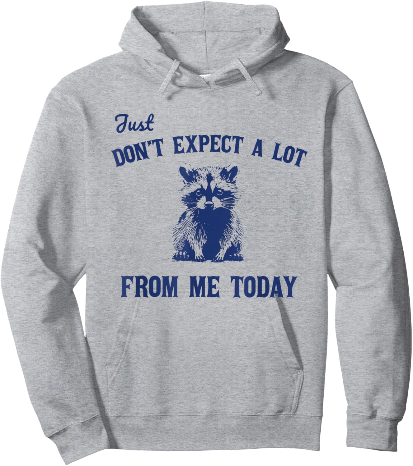 Just Don't Expect A Lot From Me Today Funny Raccoon Hoodie - Hoodie | Ash