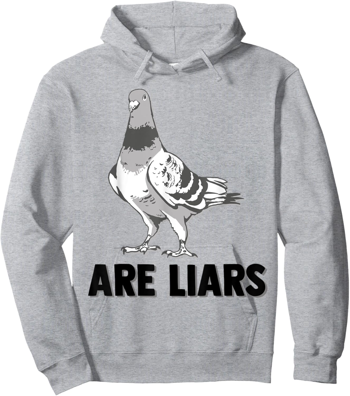 Pigeons Are Liars Aren't Real Spies Birds Pun Hoodie - Hoodie | Ash