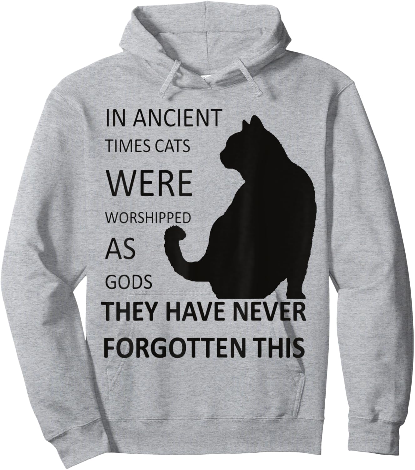 In Ancient Times Cats Were Worshipped As Gods v1 Hoodie - Hoodie | Ash
