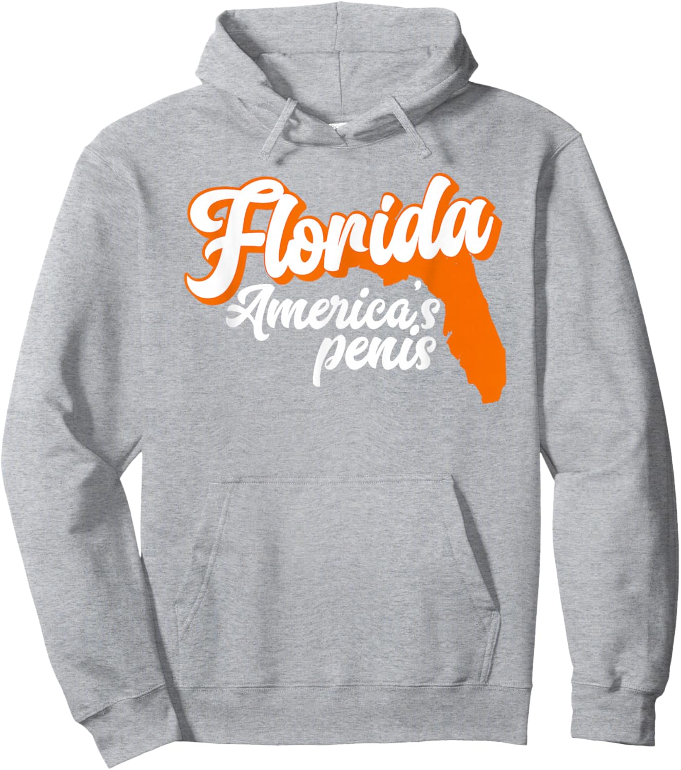 Florida is America’S Penis - Funny Florida Sucks Hoodie - Hoodie | Ash