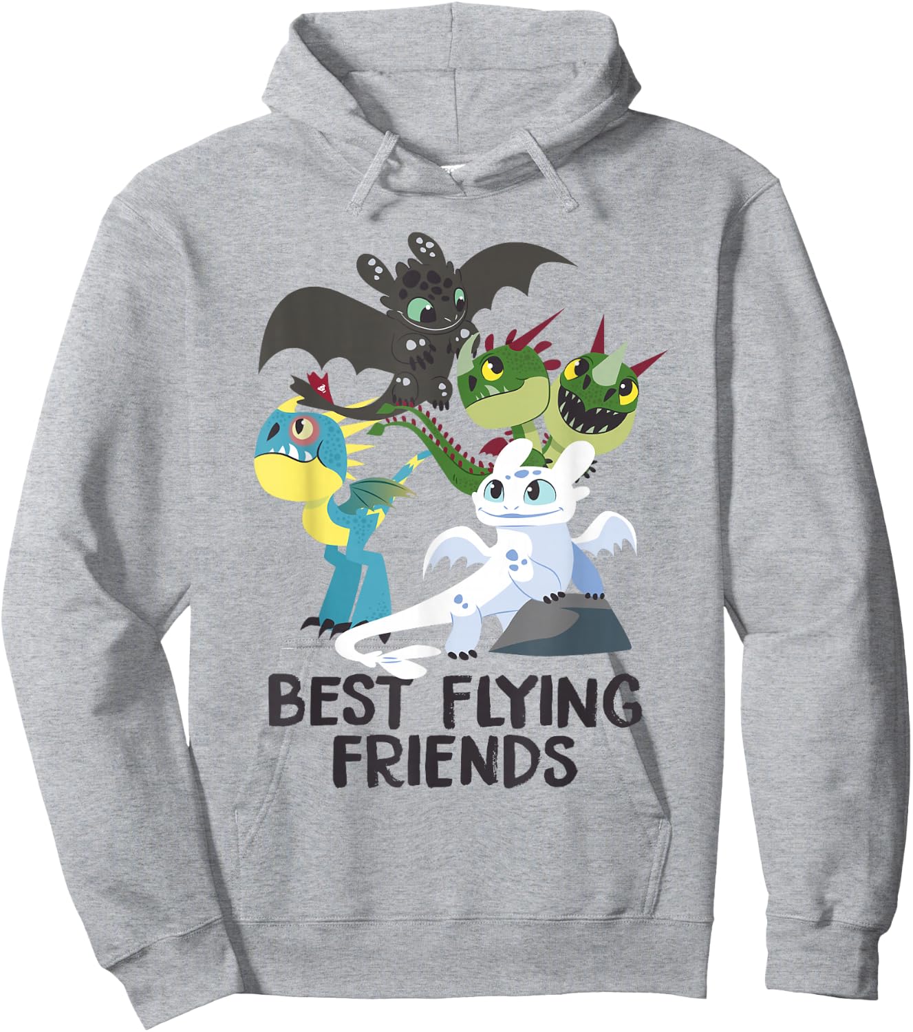 How to Train Your Dragon 3 Hidden World Best Friends Hoodie - Hoodie | Ash