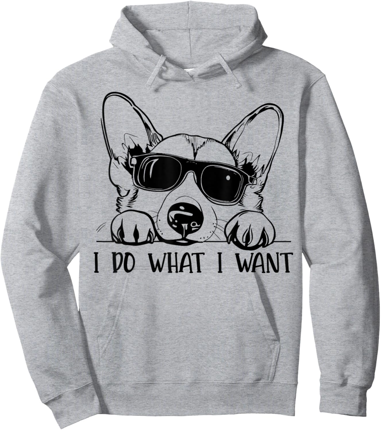 Corgi Dog Owner I Do What I Want Funny Pet Hoodie - Hoodie | Ash