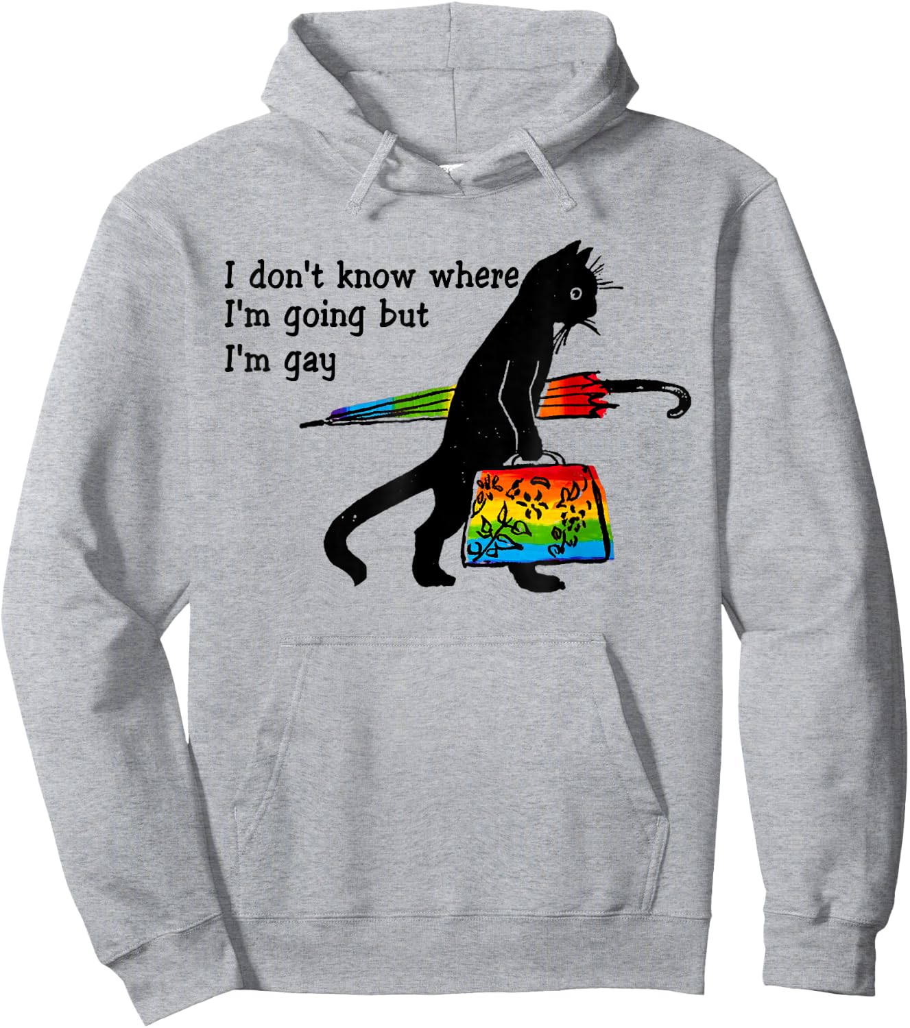 Funny Black Cat I Don't Know Where I'm Going But I'm Gay Hoodie - Hoodie | Ash