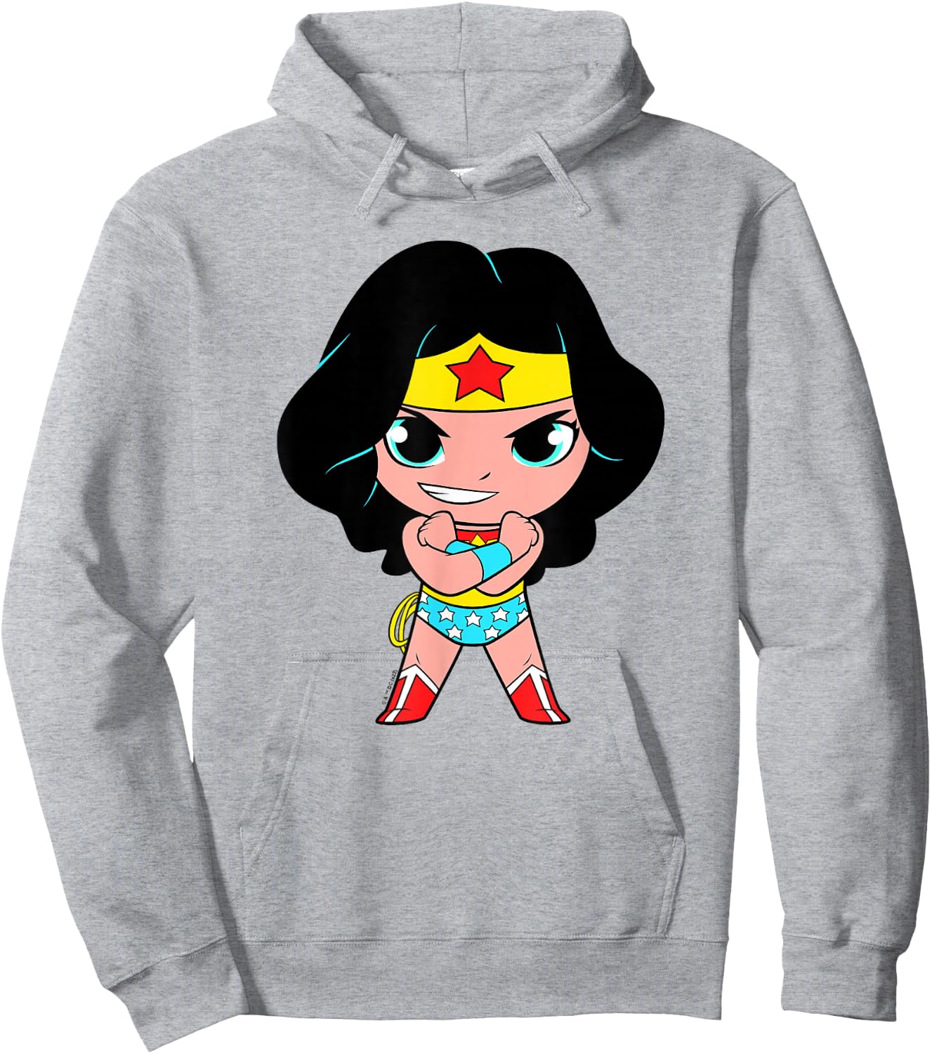 DC Super Friends Wonder Woman Big Character Portrait Hoodie - Hoodie | Ash