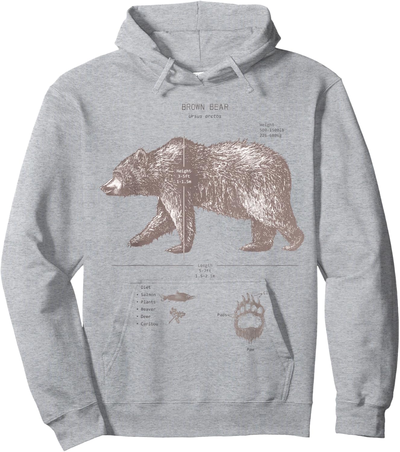 Brown Bear Anatomy Hoodie - Hoodie | Ash