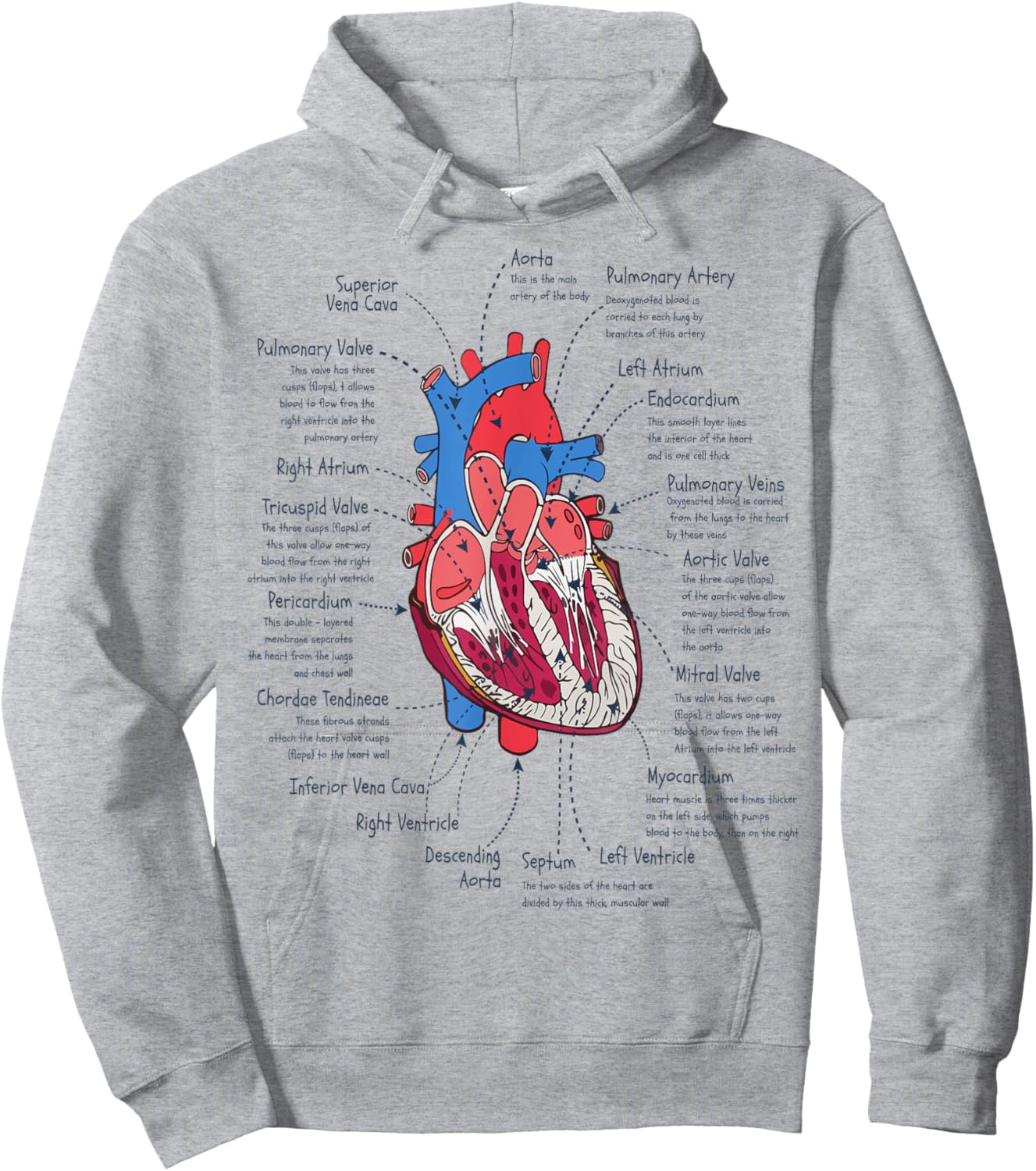 Heart Anatomy Funny CVICU Nurse Hoodie - Hoodie | Ash