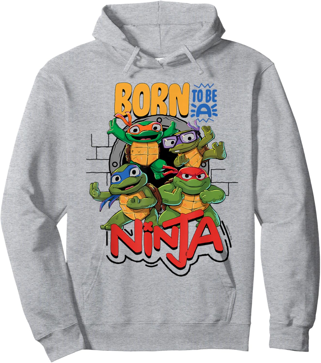 Teenage Mutant Ninja Turtles: Mutant Mayhem Born a Ninja Hoodie - Hoodie | Ash