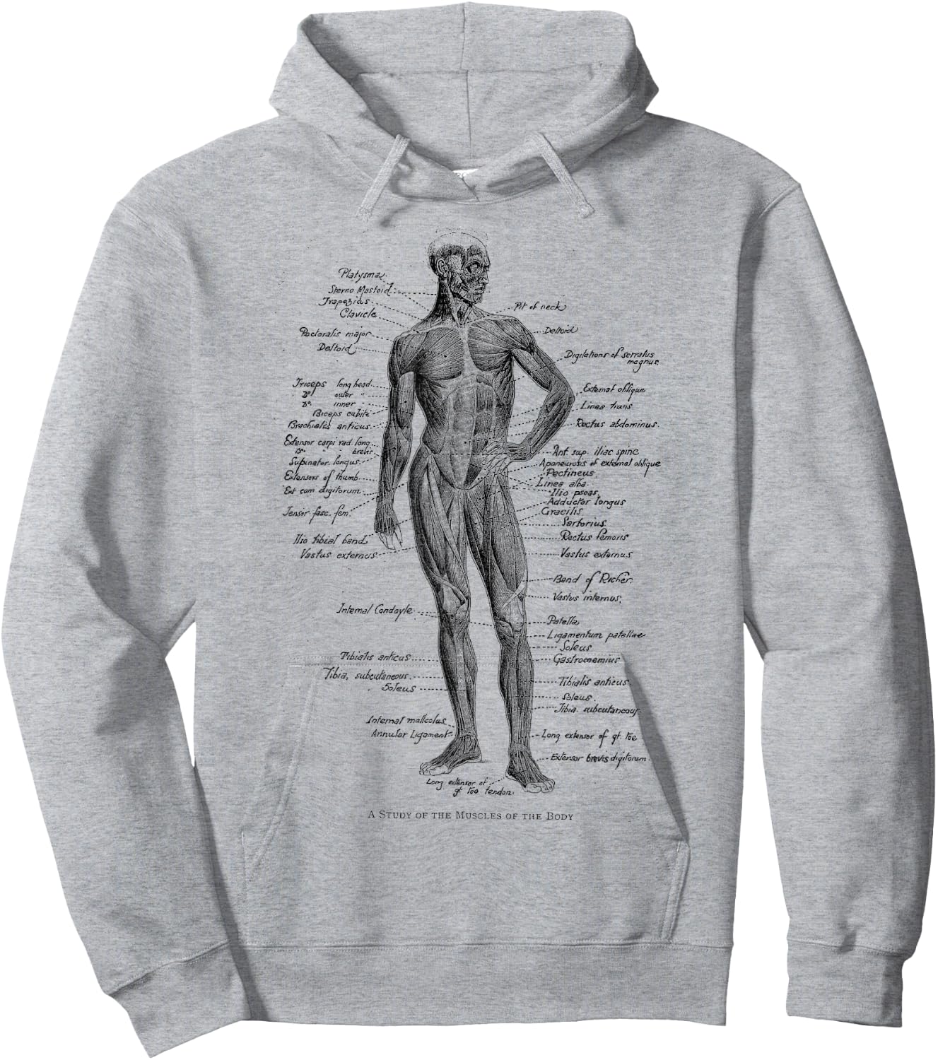 Human Muscle Anatomy Design Gift Hoodie - Hoodie | Ash
