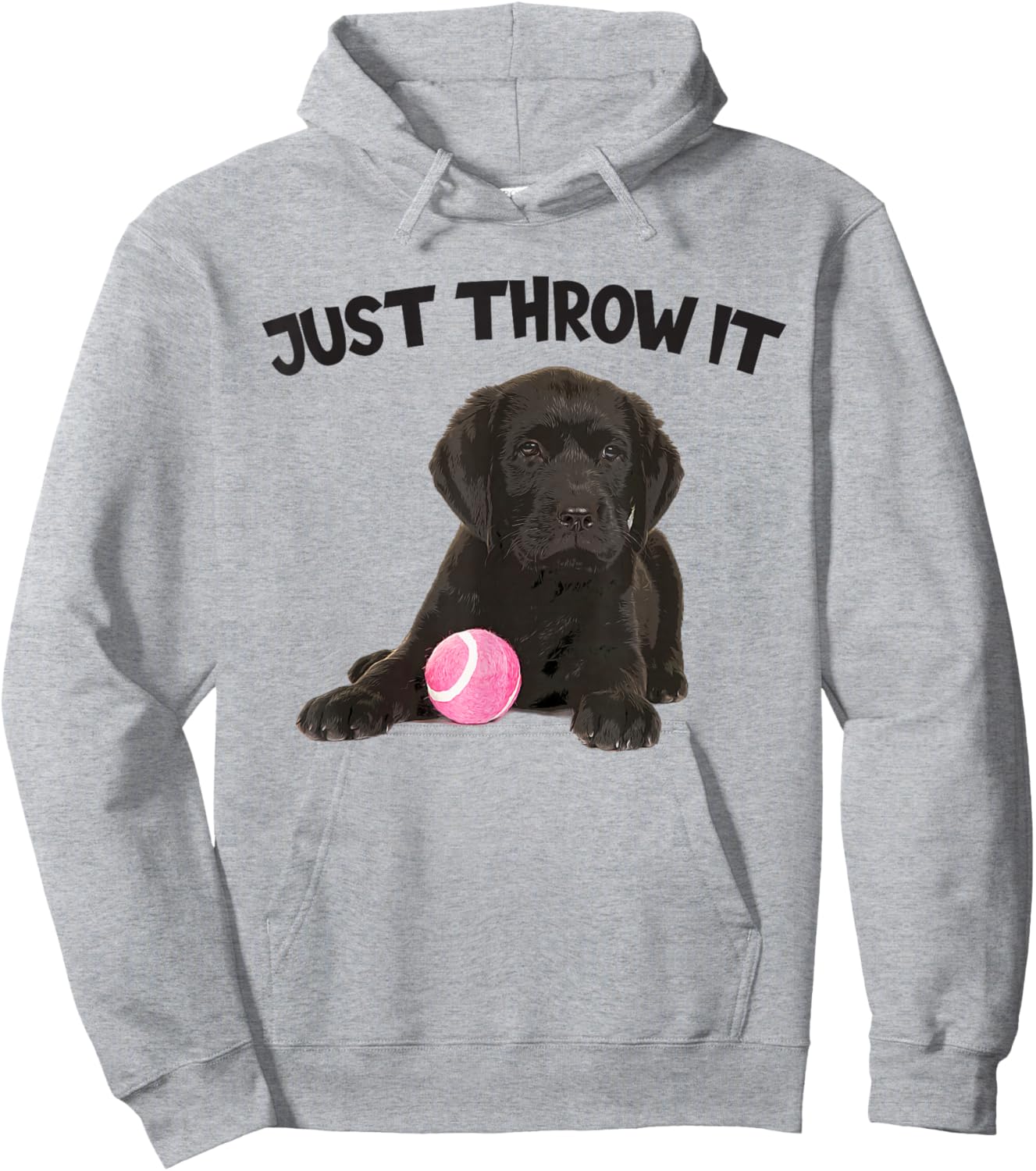 Just Throw It Play Fetch Funny Labrador Retriever Hoodie - Hoodie | Ash