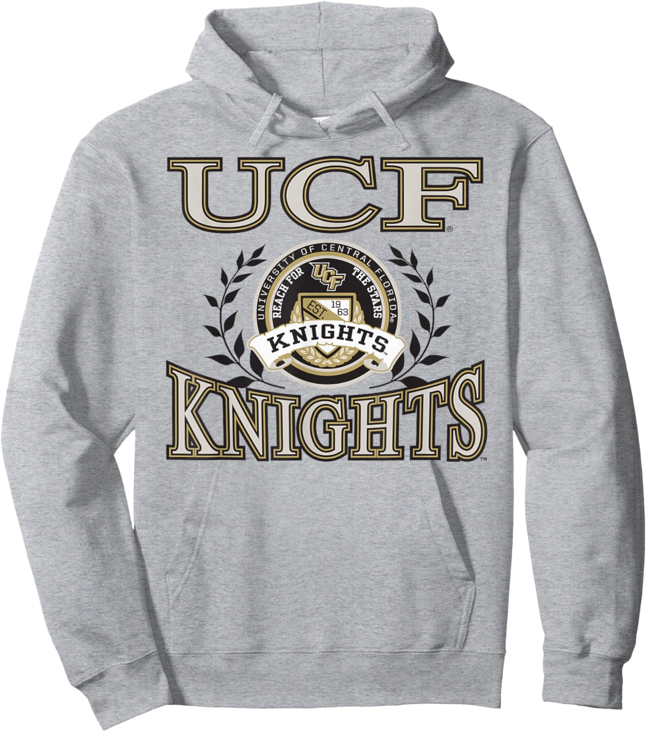 Central Florida Golden Knights Laurels Gray Hoodie - Hoodie | Ash
