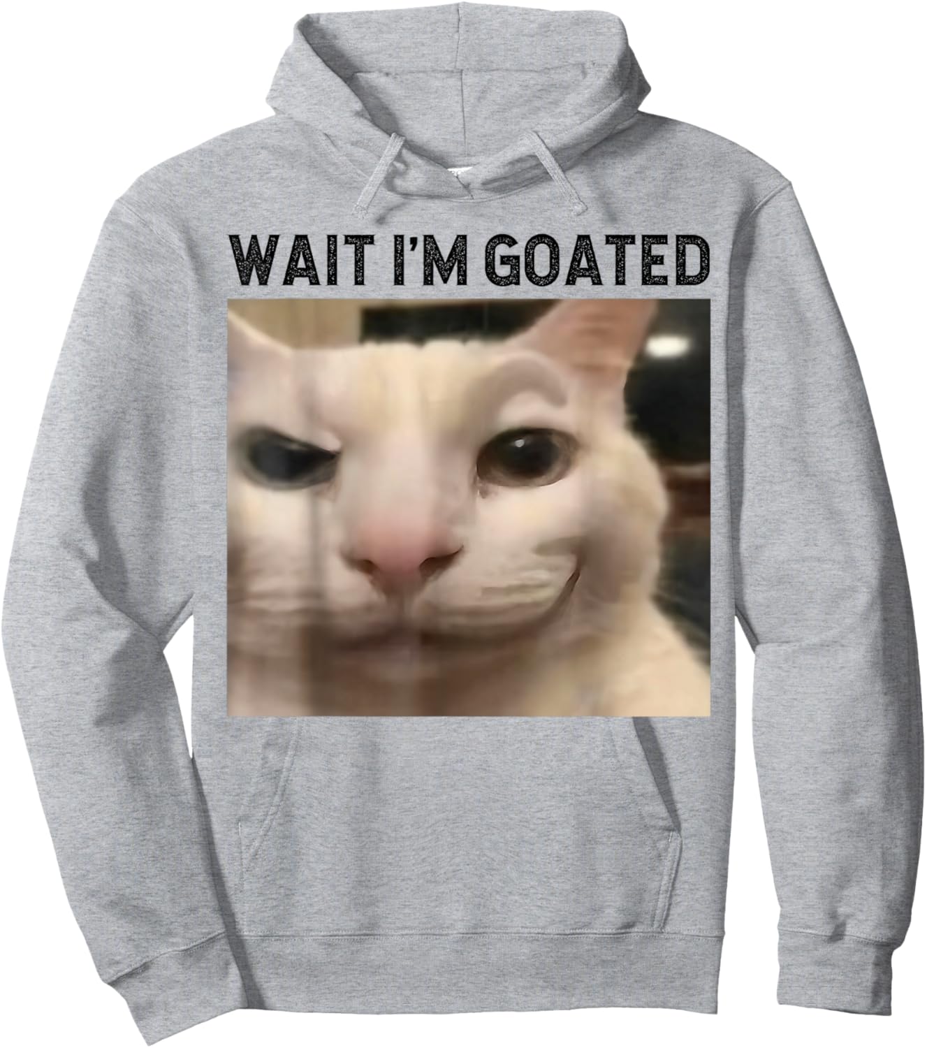Wait I'm Goated Cat Funny Silly Cat Staring Cat Funny Meme Hoodie - Hoodie | Ash
