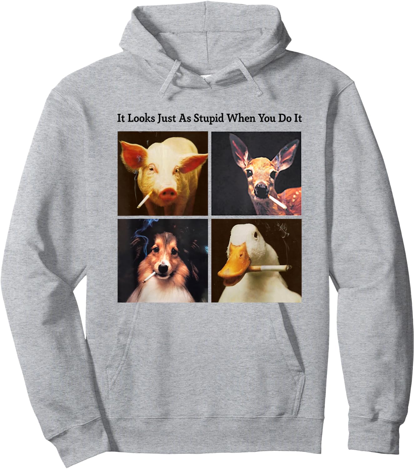 Anti Smoking Animals It Looks Just As Stupid When You Do It Hoodie - Hoodie | Ash