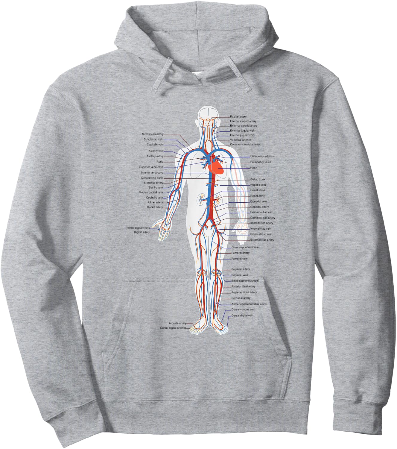 Circulatory System Anatomy Chart Arteries Veins Hoodie - Hoodie | Ash
