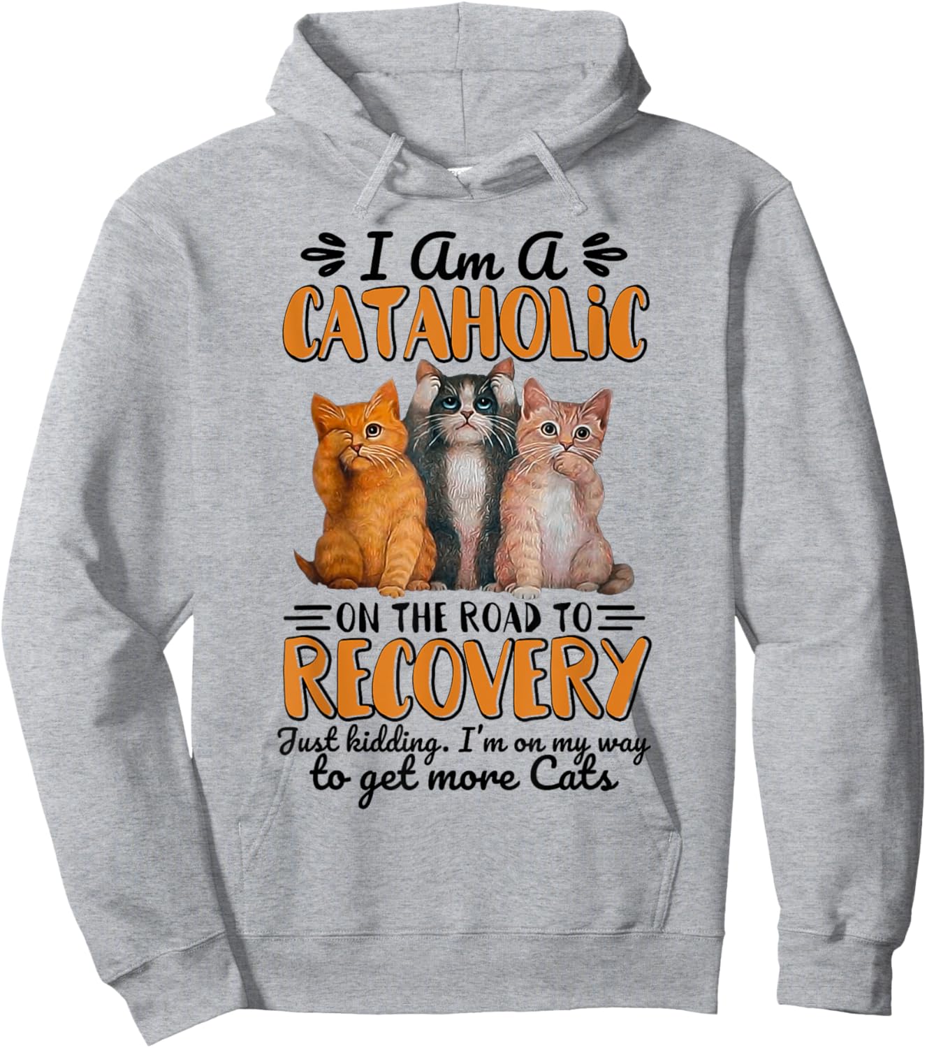 I Am A Cataholic On The Road To Recovery Just Kidding Hoodie - Hoodie | Ash