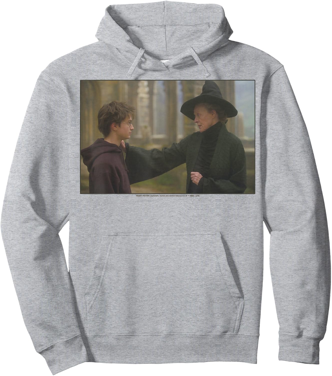 Harry Potter Harry & McGonagall Portrait Hoodie - Hoodie | Ash