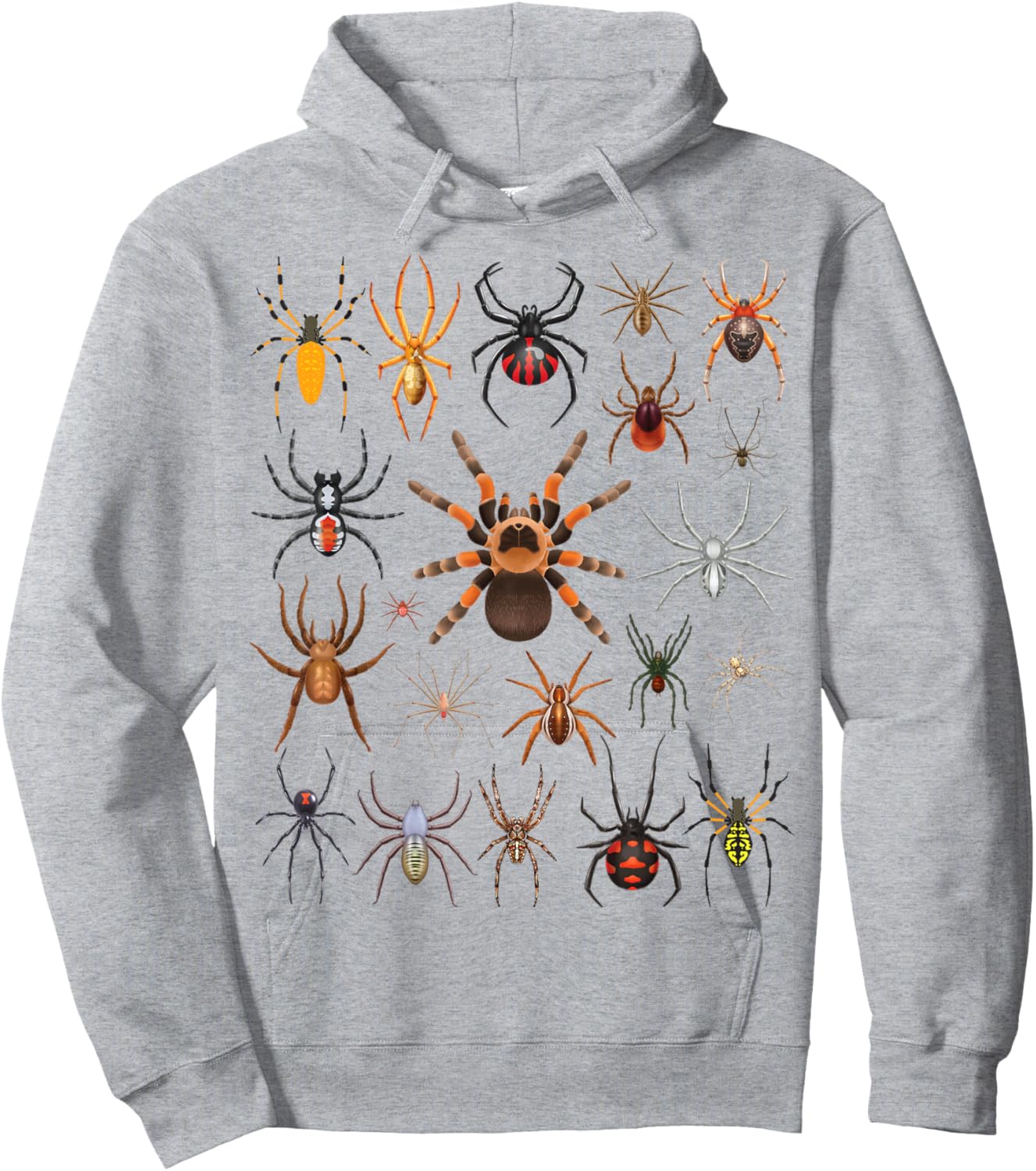 Types of Spiders Educational Entomology Boys Girls Kids Hoodie - Hoodie | Ash