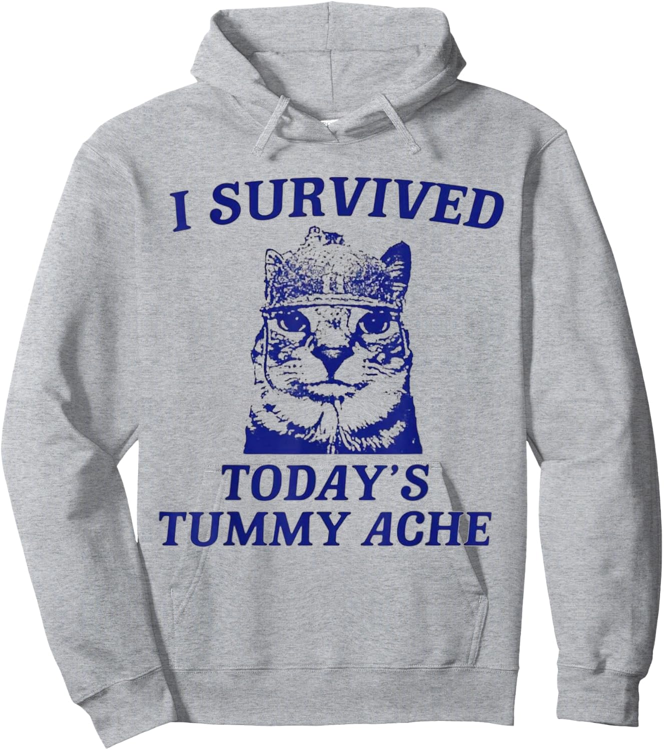 I survived today's tummy ache Cat Hoodie - Hoodie | Ash