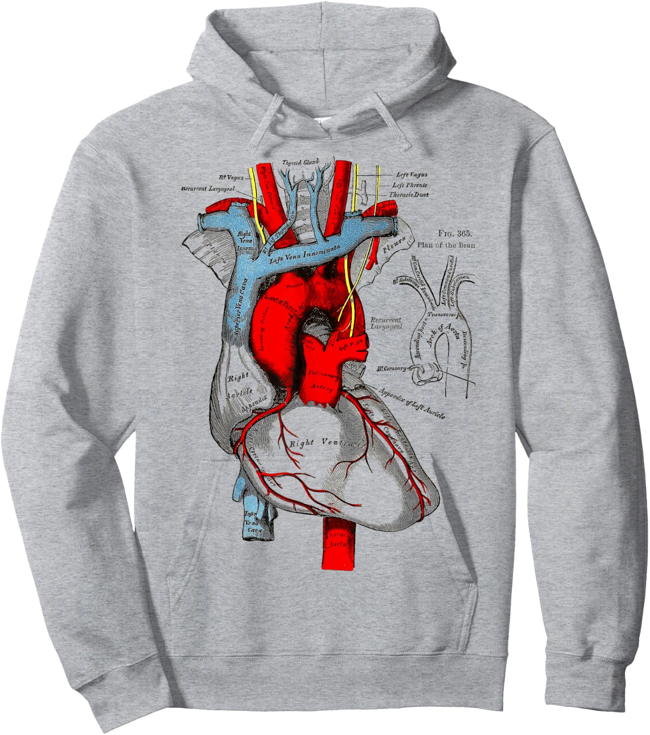 Vintage medical Human Heart Anatomy Illustration Hoodie - Hoodie | Ash