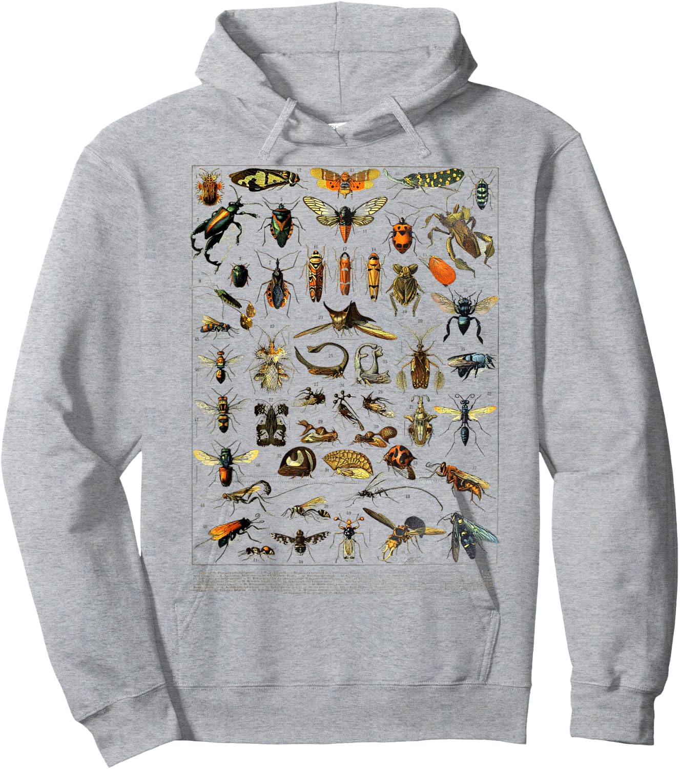 insects Collection Species Bugs Vintage Entomology Hoodie - Hoodie | Ash