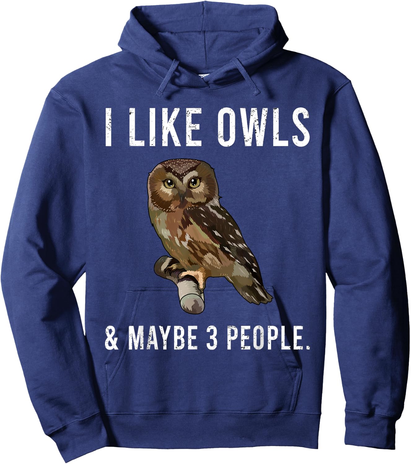 Funny I Like Northern Saw-whet Owls And Maybe 3 People Hoodie - Hoodie | Navy