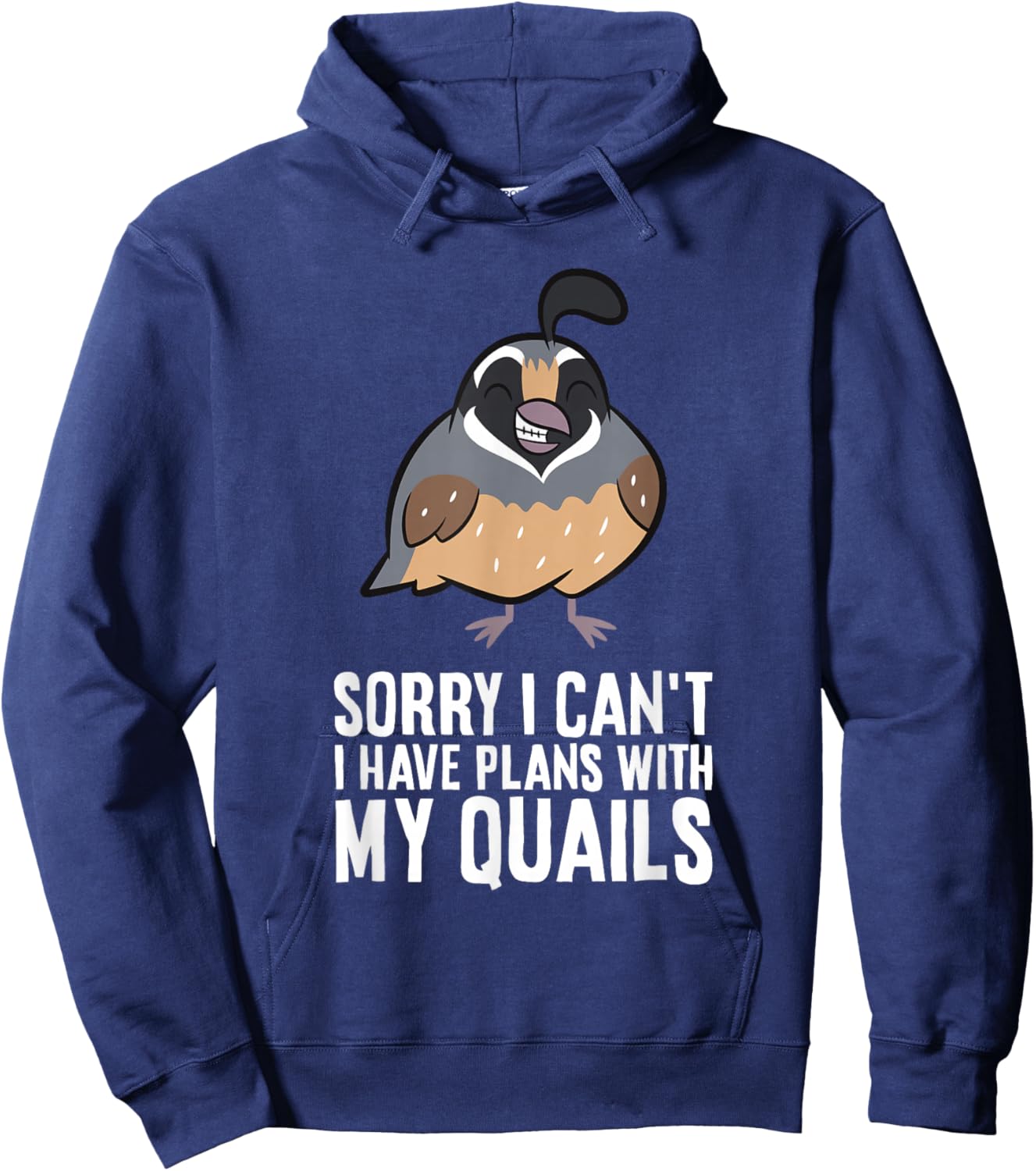 Sorry I Can't I Have Plans With My Quails Funny Common Quail Hoodie - Hoodie | Navy