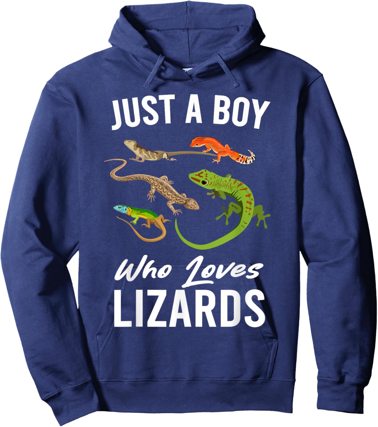 Just A Boy Who Loves Lizards Reptile kids Boys Hoodie - Hoodie | Navy