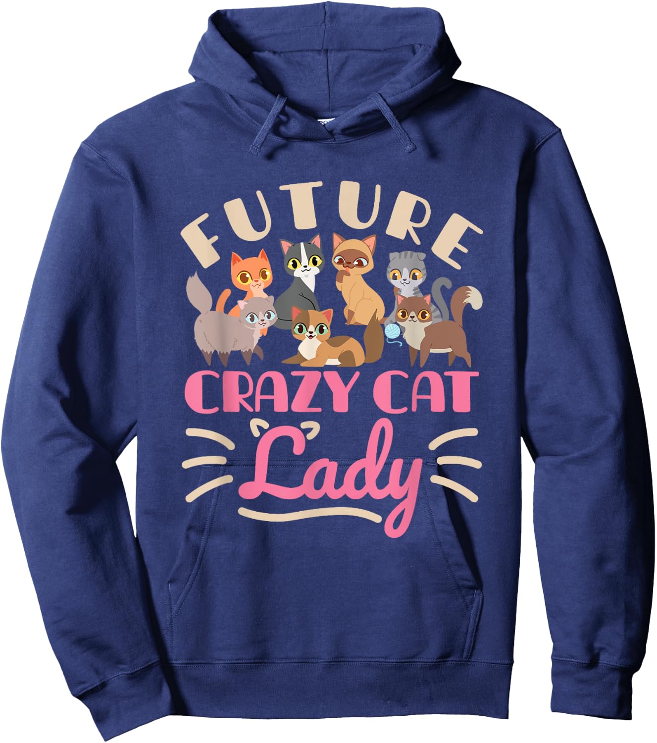 Future Crazy Cat Lady Cute Cats Funny Women Teen Girls Hoodie - Hoodie | Navy