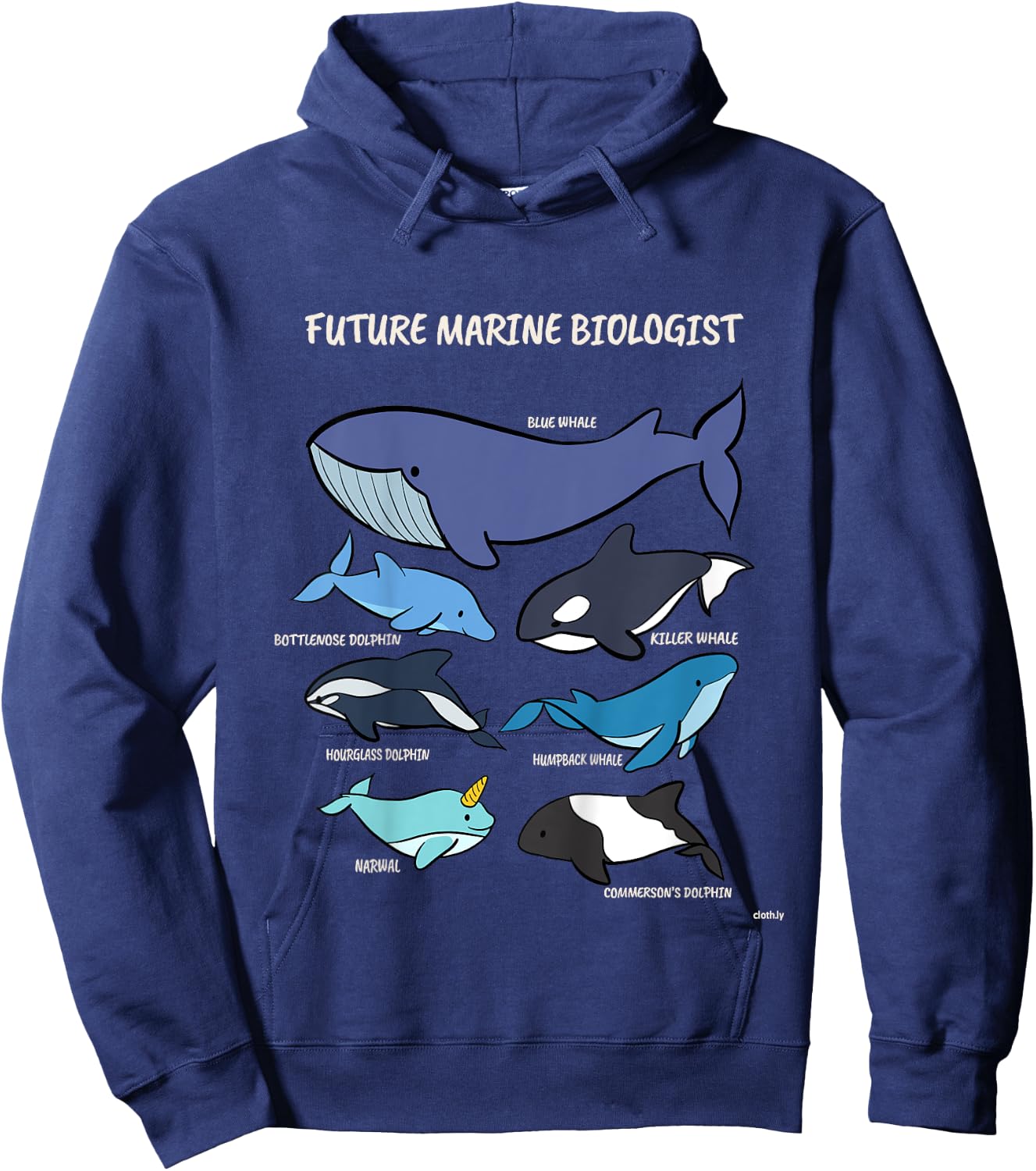 Future Marine Biologist Types of Whales and Dolphins Whale Hoodie - Hoodie | Navy