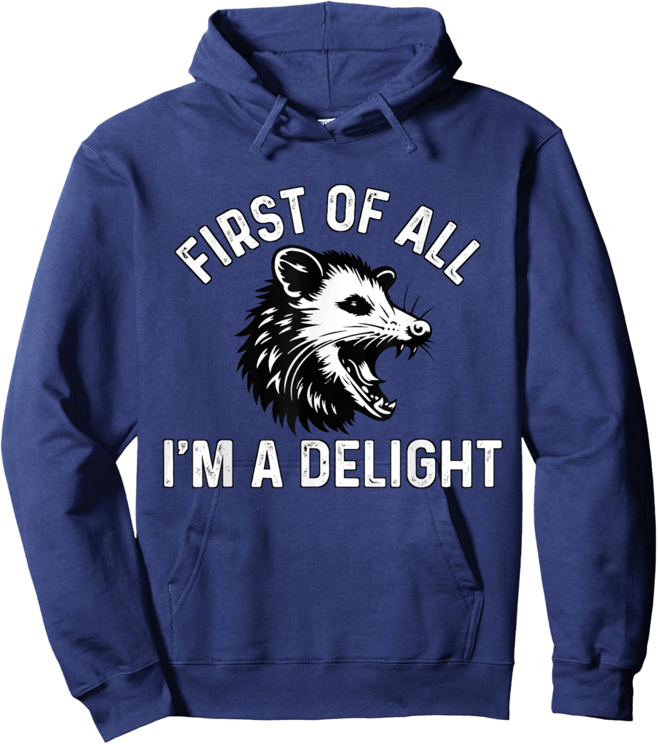 First Of All I'm A Delight Possum Angry Opossum Meme Hoodie - Hoodie | Navy