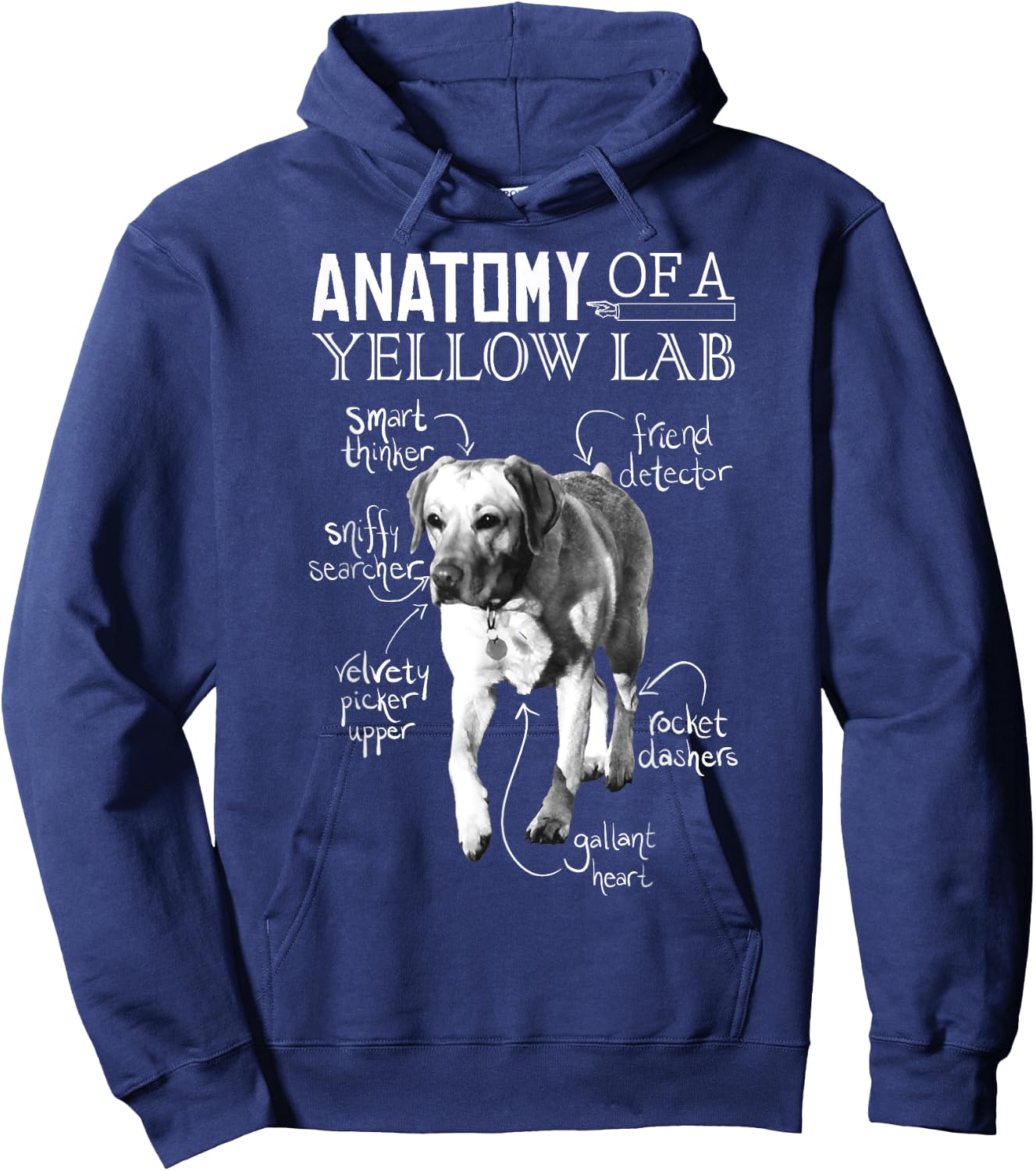 Anatomy of a Yellow Lab Chalkboard, Labrador Retriever Lover Hoodie - Hoodie | Navy